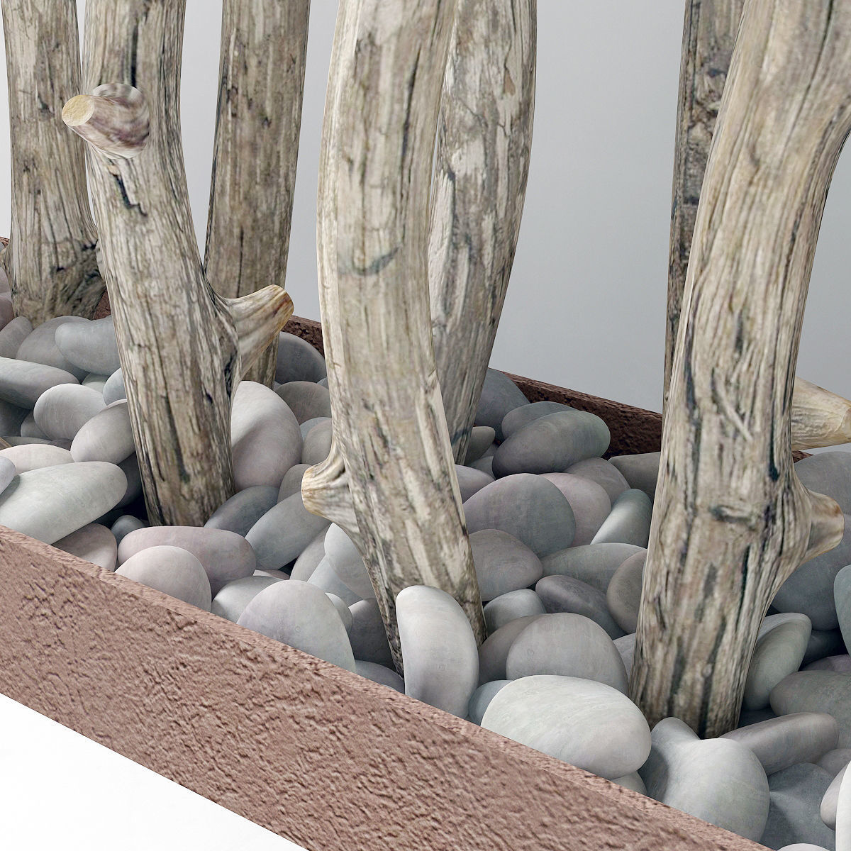 Branch old tree fundament pebble n1 3D model_2