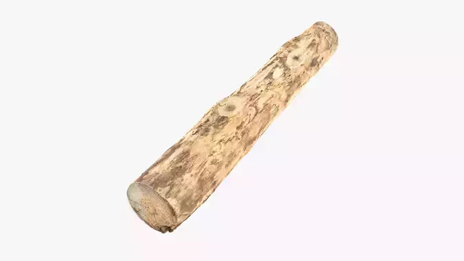 Debarked Pine Log
