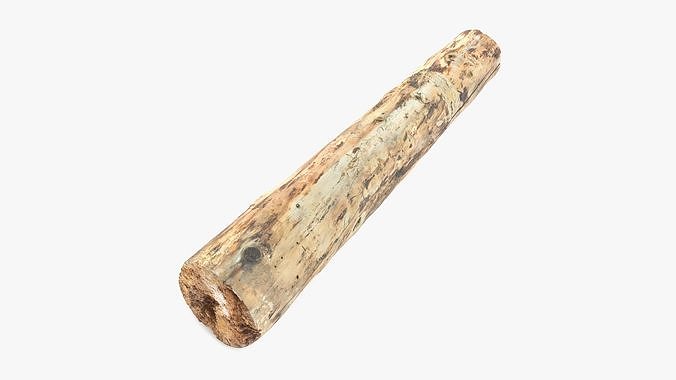 Debarked Rotten Pine Log Low-poly 3D model