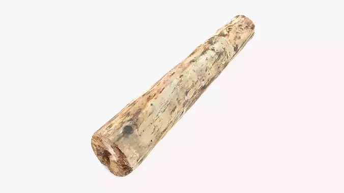Debarked Rotten Pine Log
