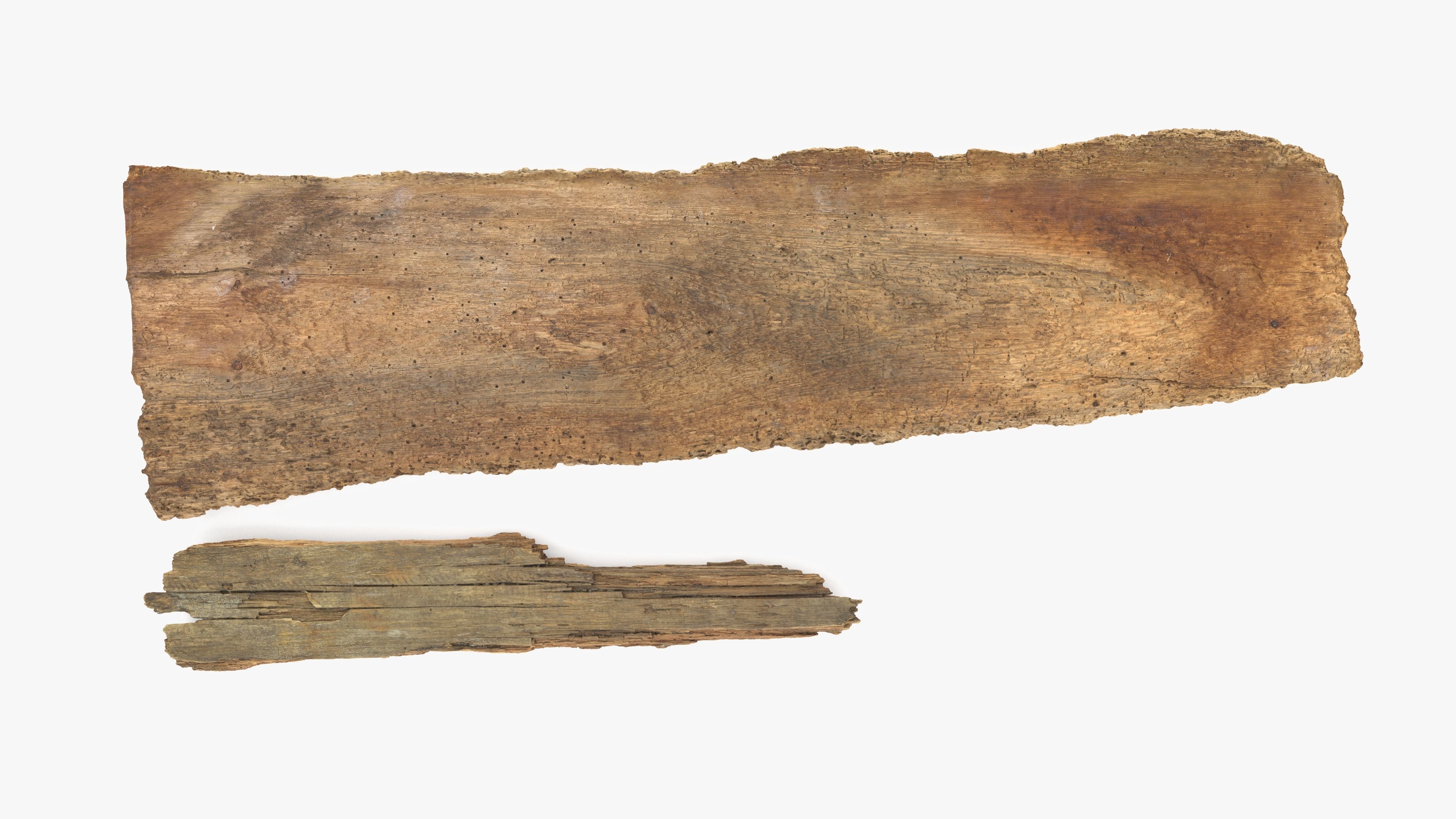 Rotten Planks Eaten Low-poly 3D model_6