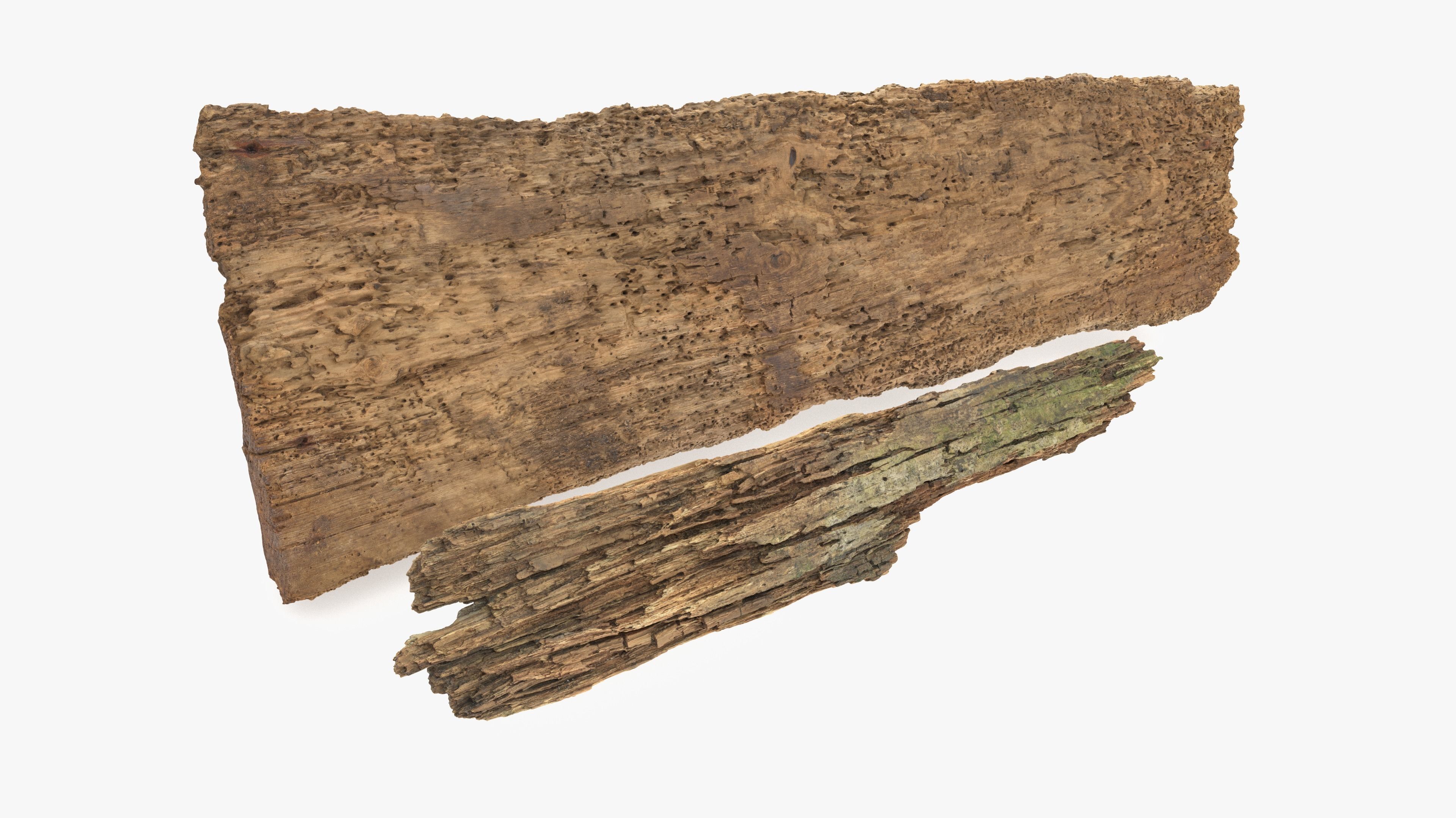 Rotten Planks Eaten Low-poly 3D model_11