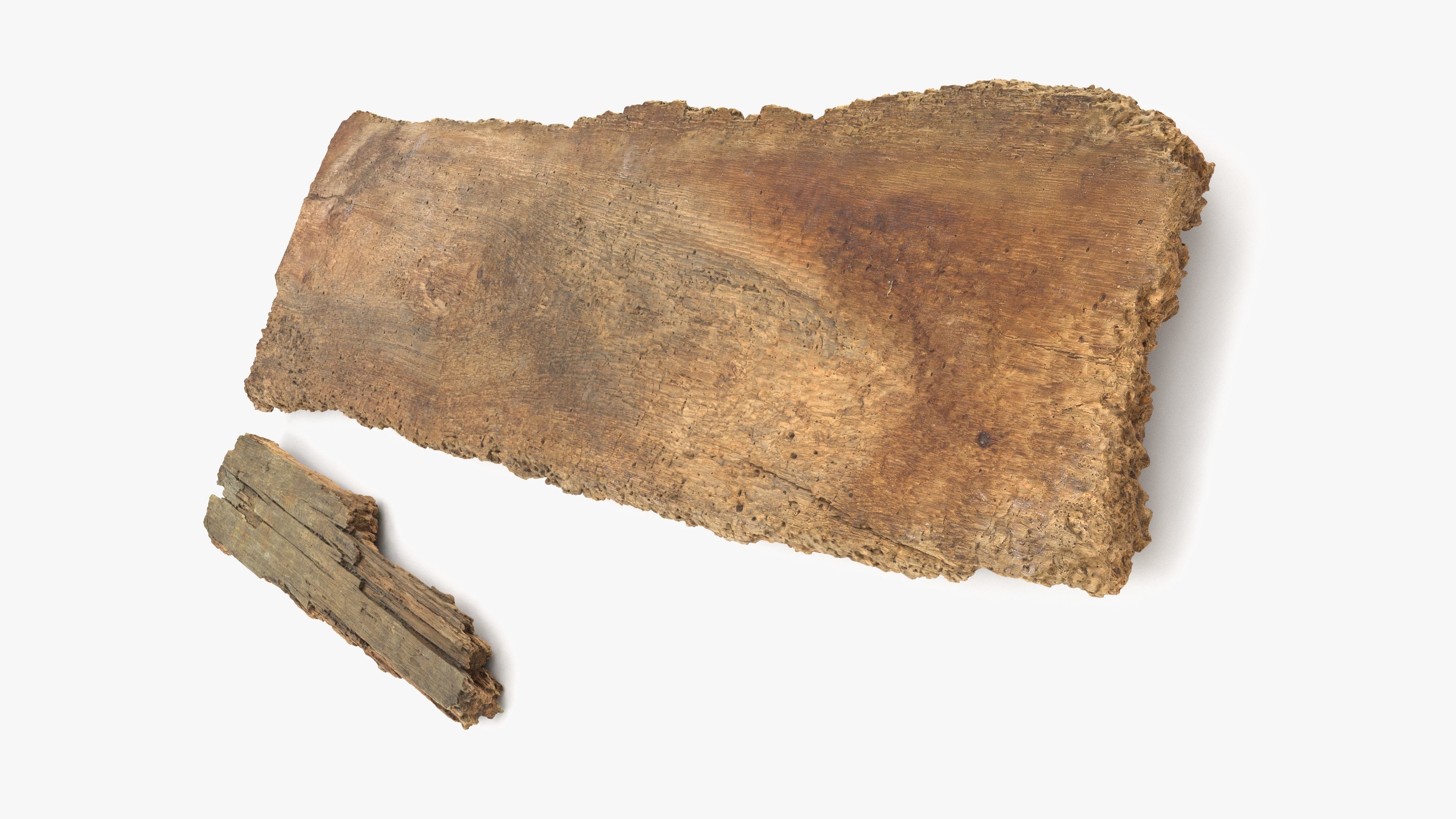 Rotten Planks Eaten Low-poly 3D model_7