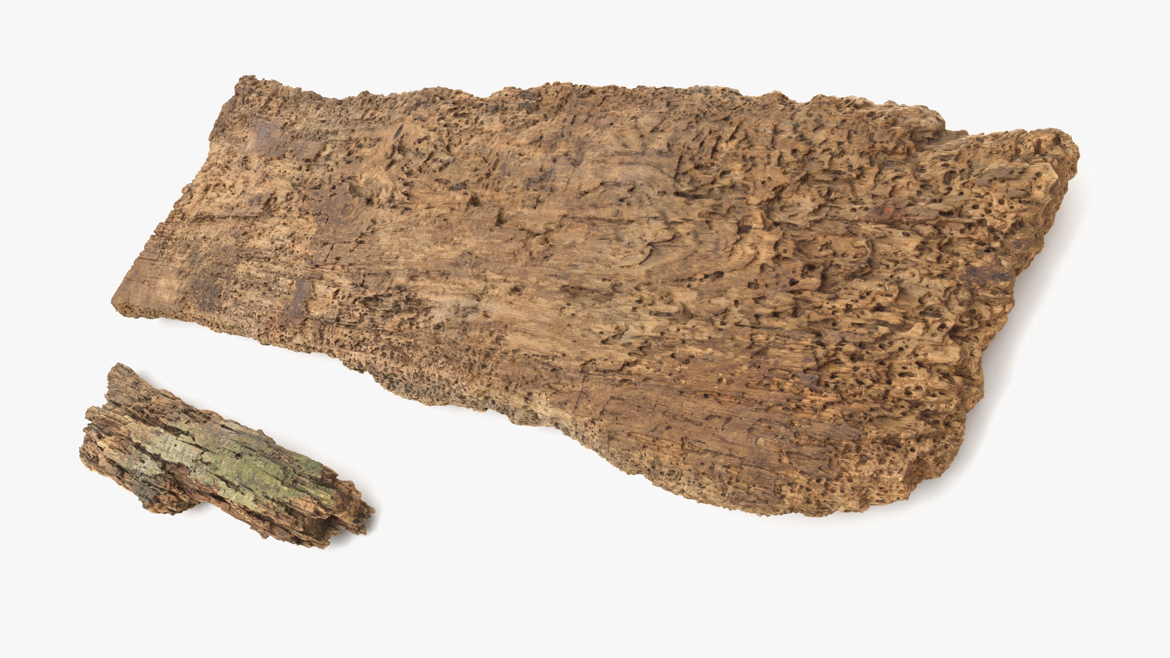 Rotten Planks Eaten Low-poly 3D model_8