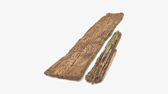 Rotten Planks Eaten Low-poly 3D model
