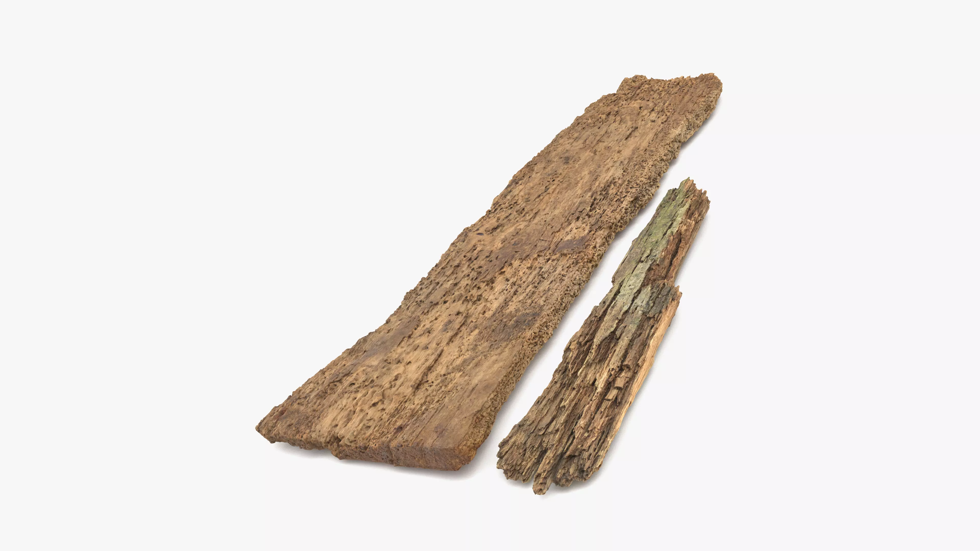 Rotten Planks Eaten Low-poly 3D model_0