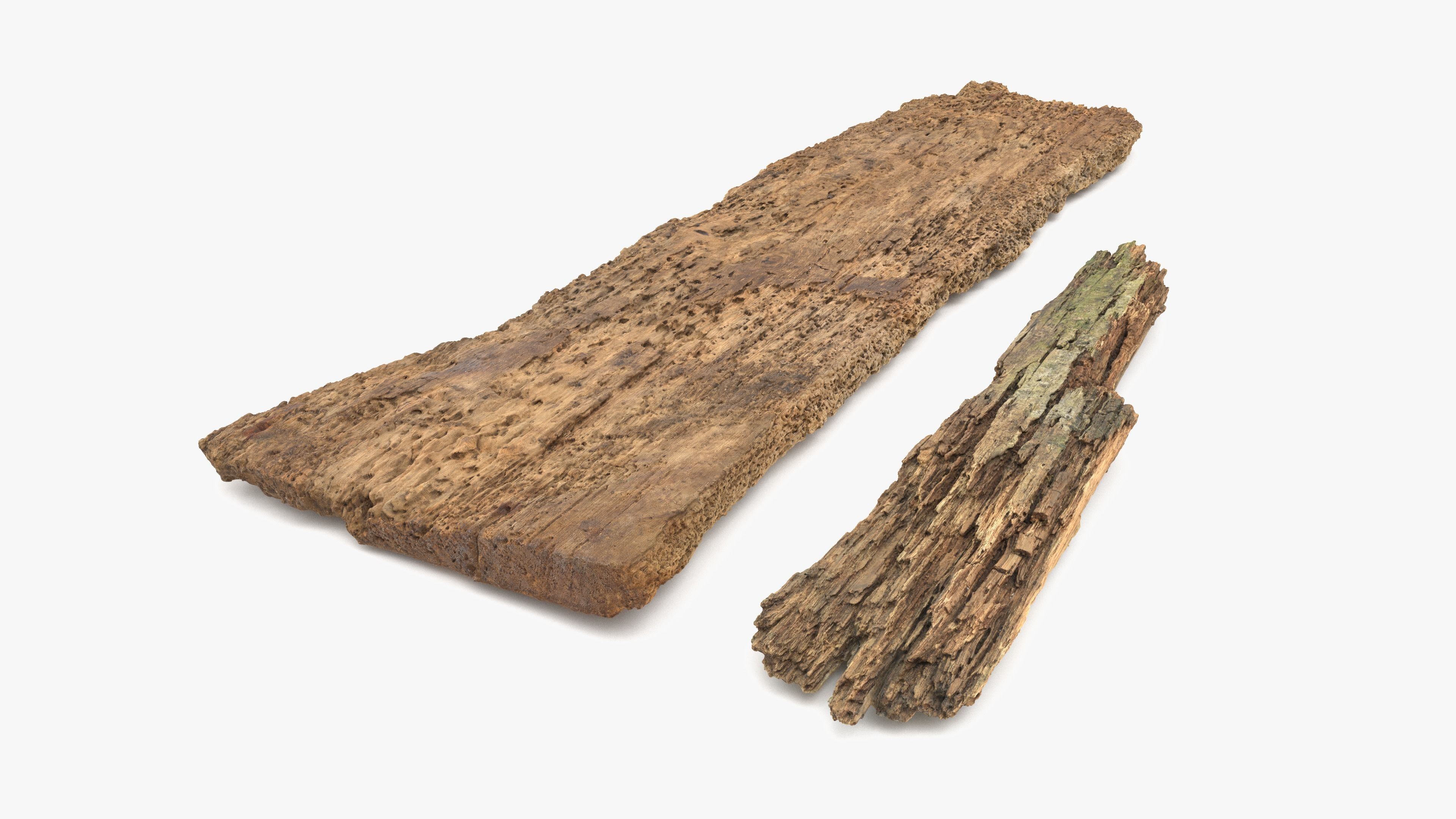 Rotten Planks Eaten Low-poly 3D model_1