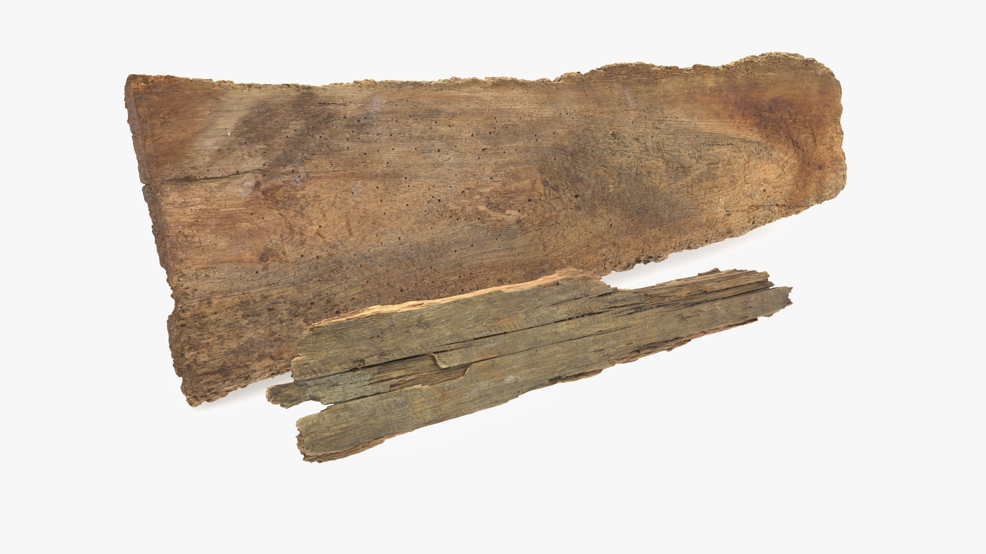 Rotten Planks Eaten Low-poly 3D model_14