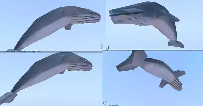 Blue Whale Low polly
