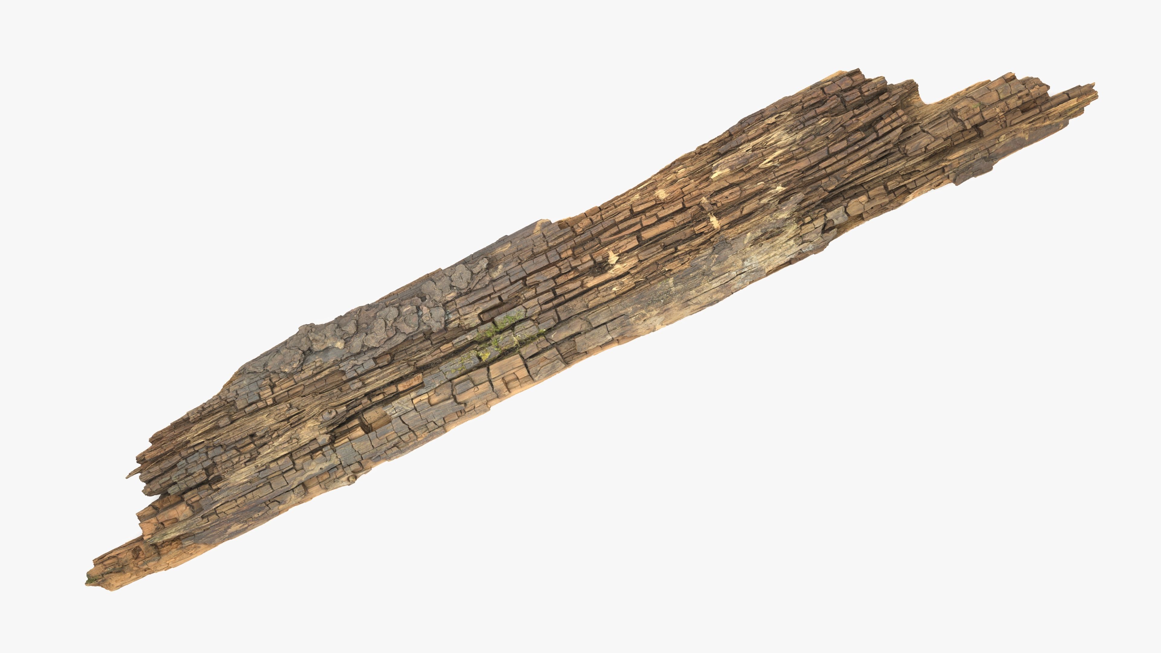Rotten Plank Mossy Low-poly 3D model_4