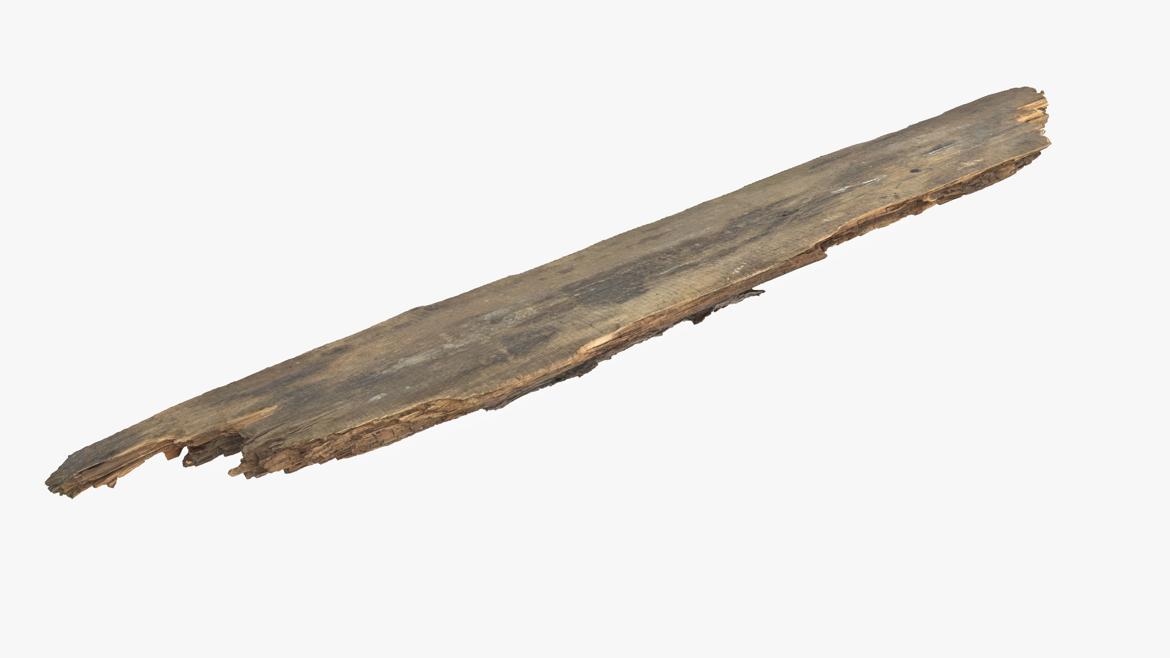 Rotten Plank Mossy Low-poly 3D model_13