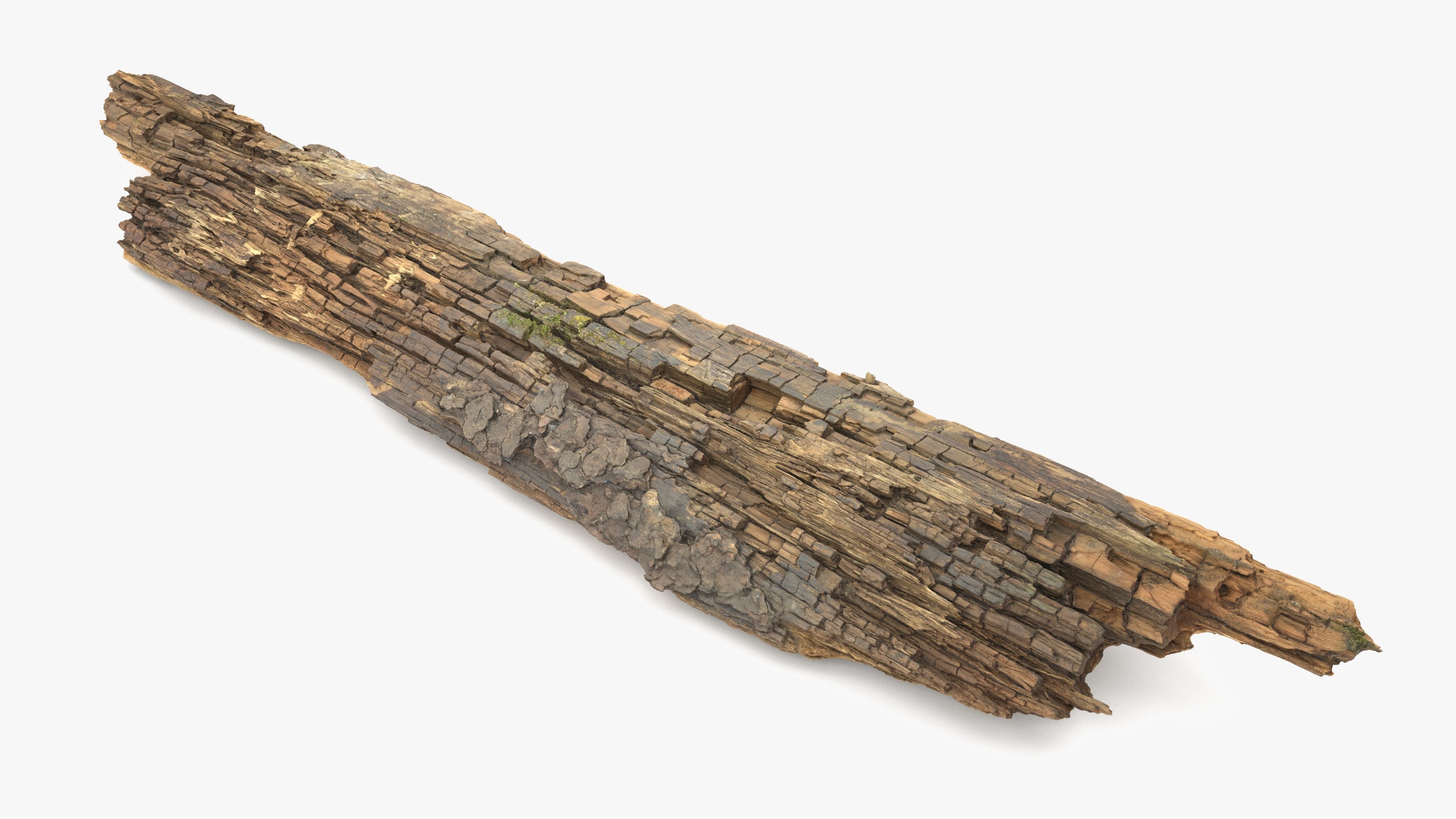 Rotten Plank Mossy Low-poly 3D model_3