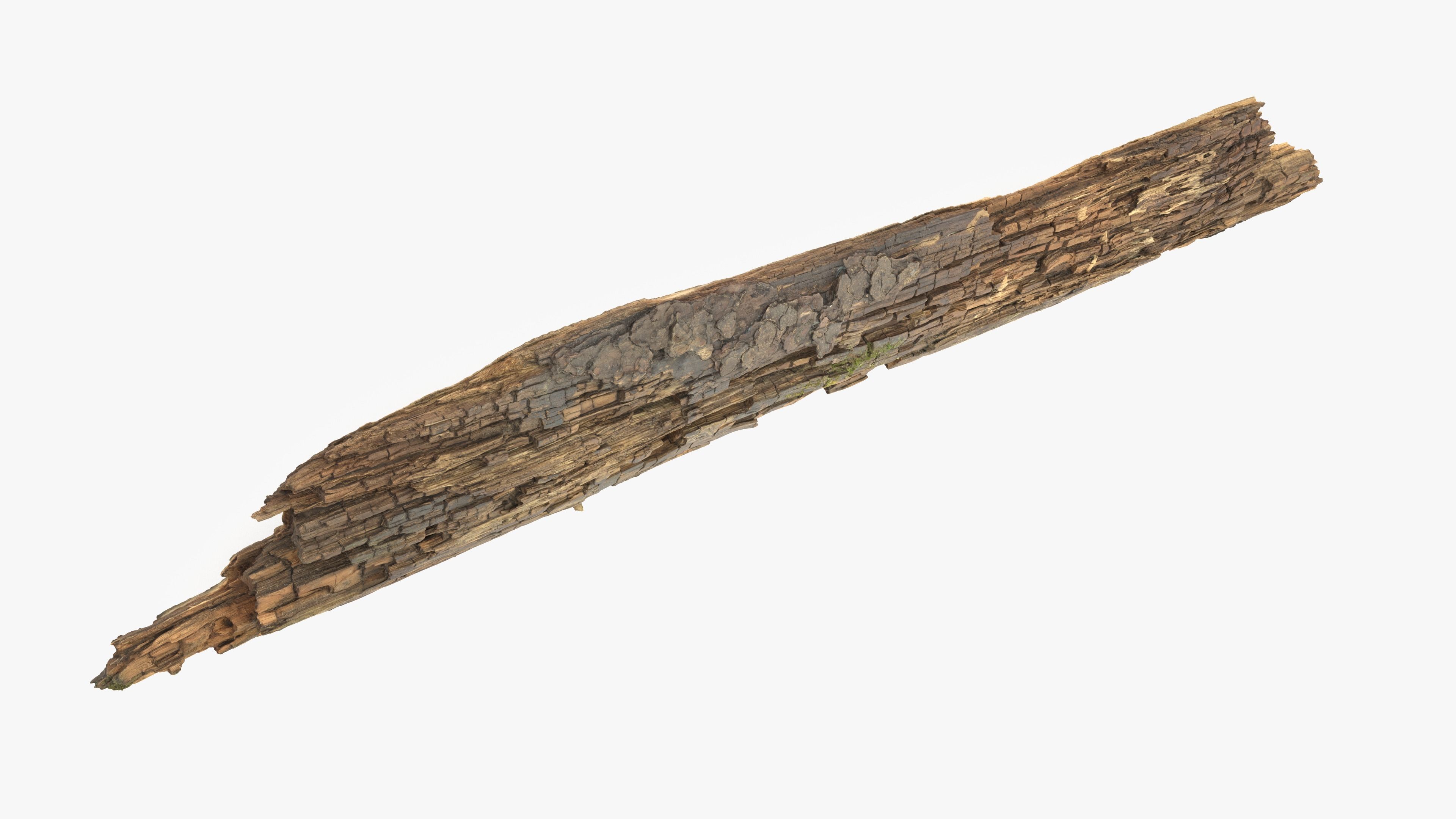 Rotten Plank Mossy Low-poly 3D model_12
