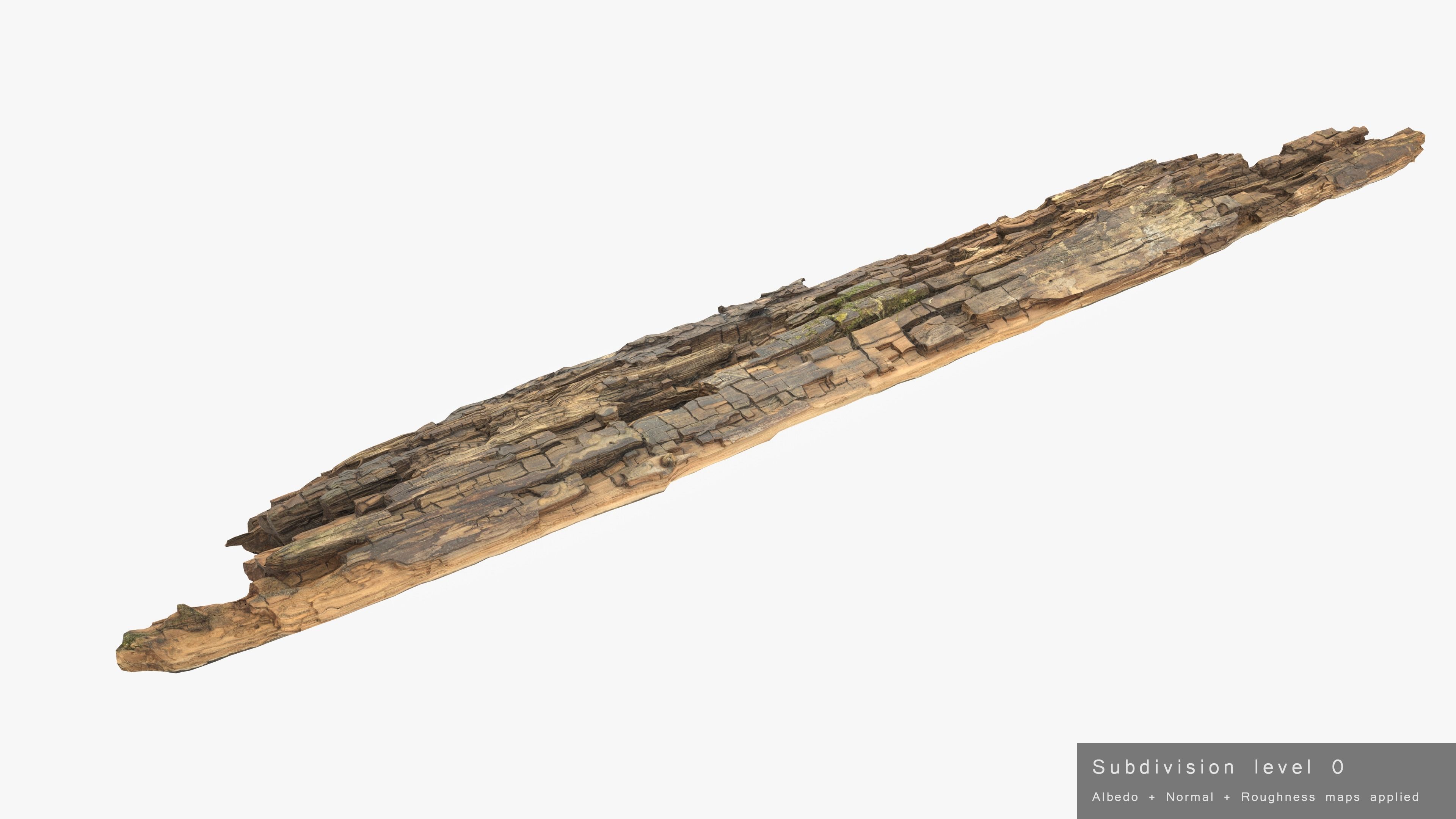 Rotten Plank Mossy Low-poly 3D model_18