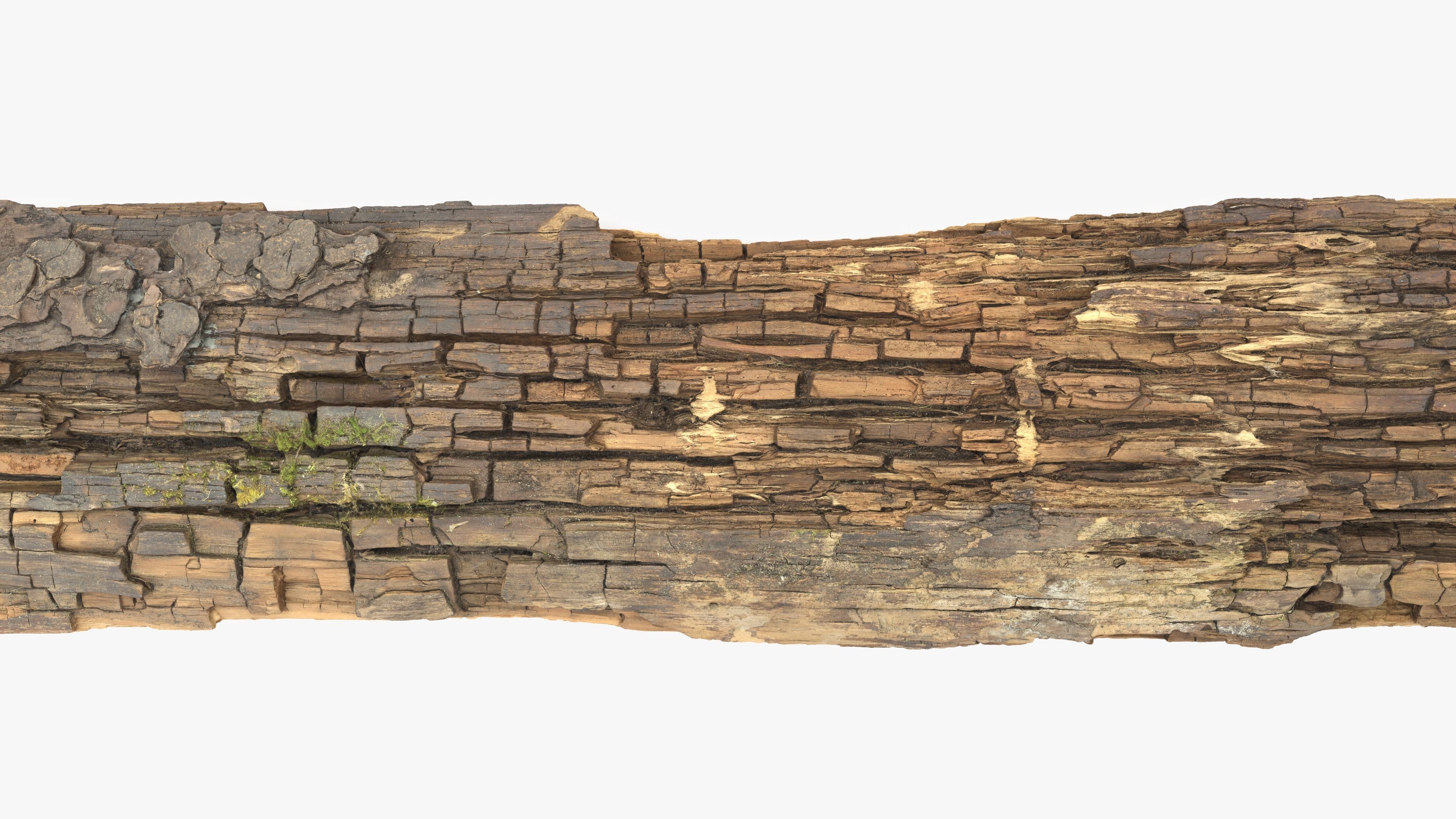 Rotten Plank Mossy Low-poly 3D model_8