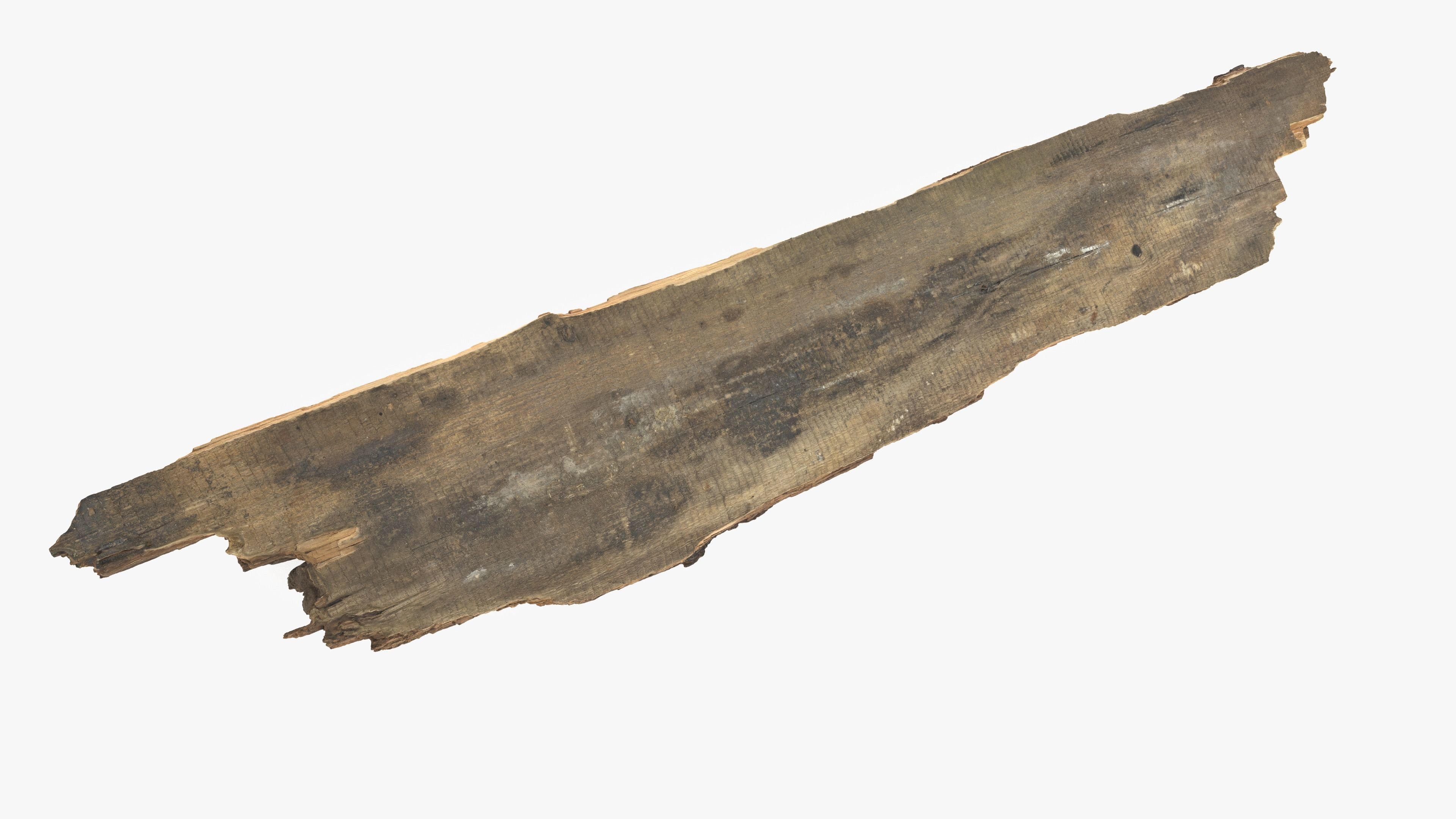 Rotten Plank Mossy Low-poly 3D model_14