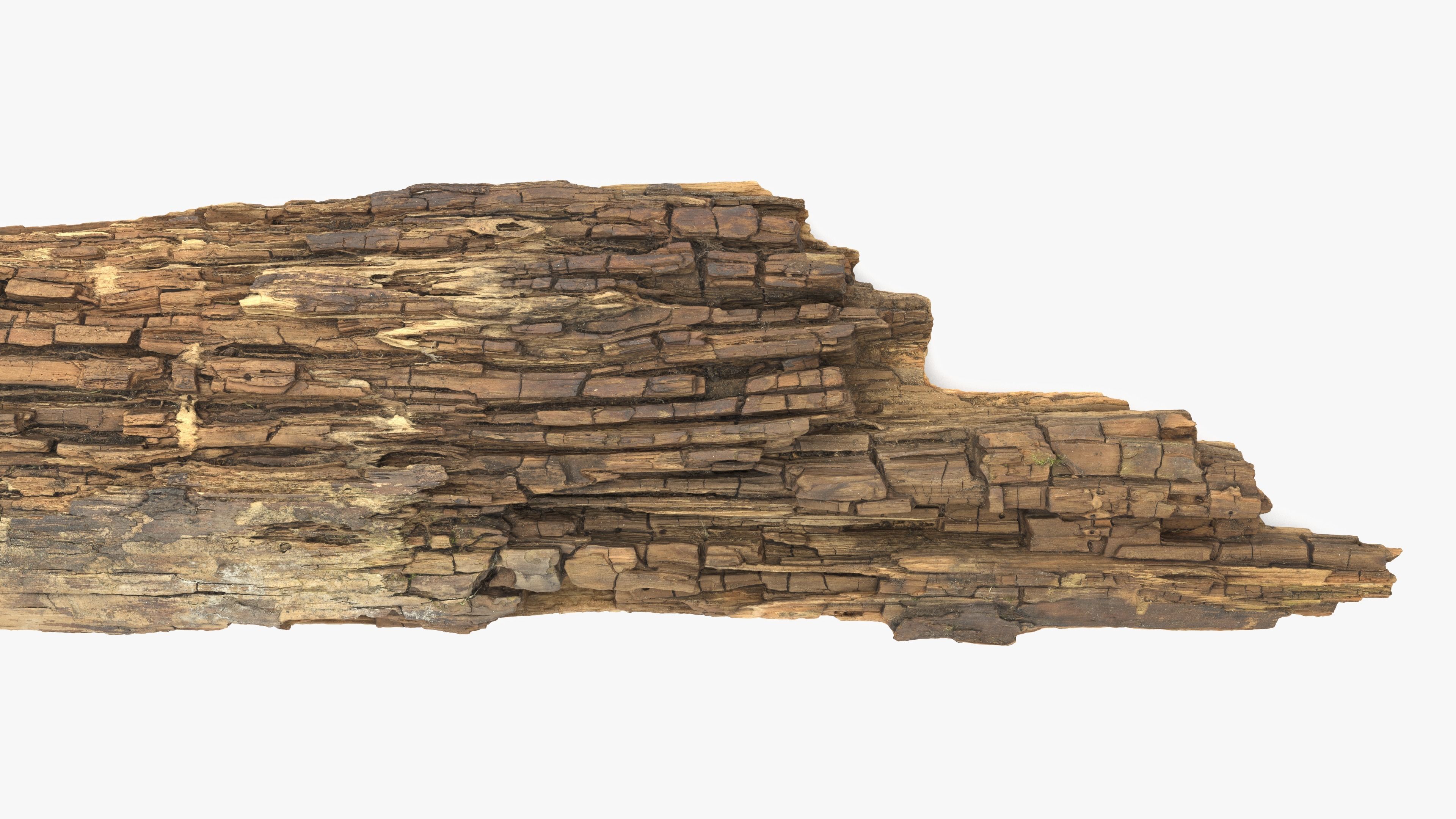 Rotten Plank Mossy Low-poly 3D model_9