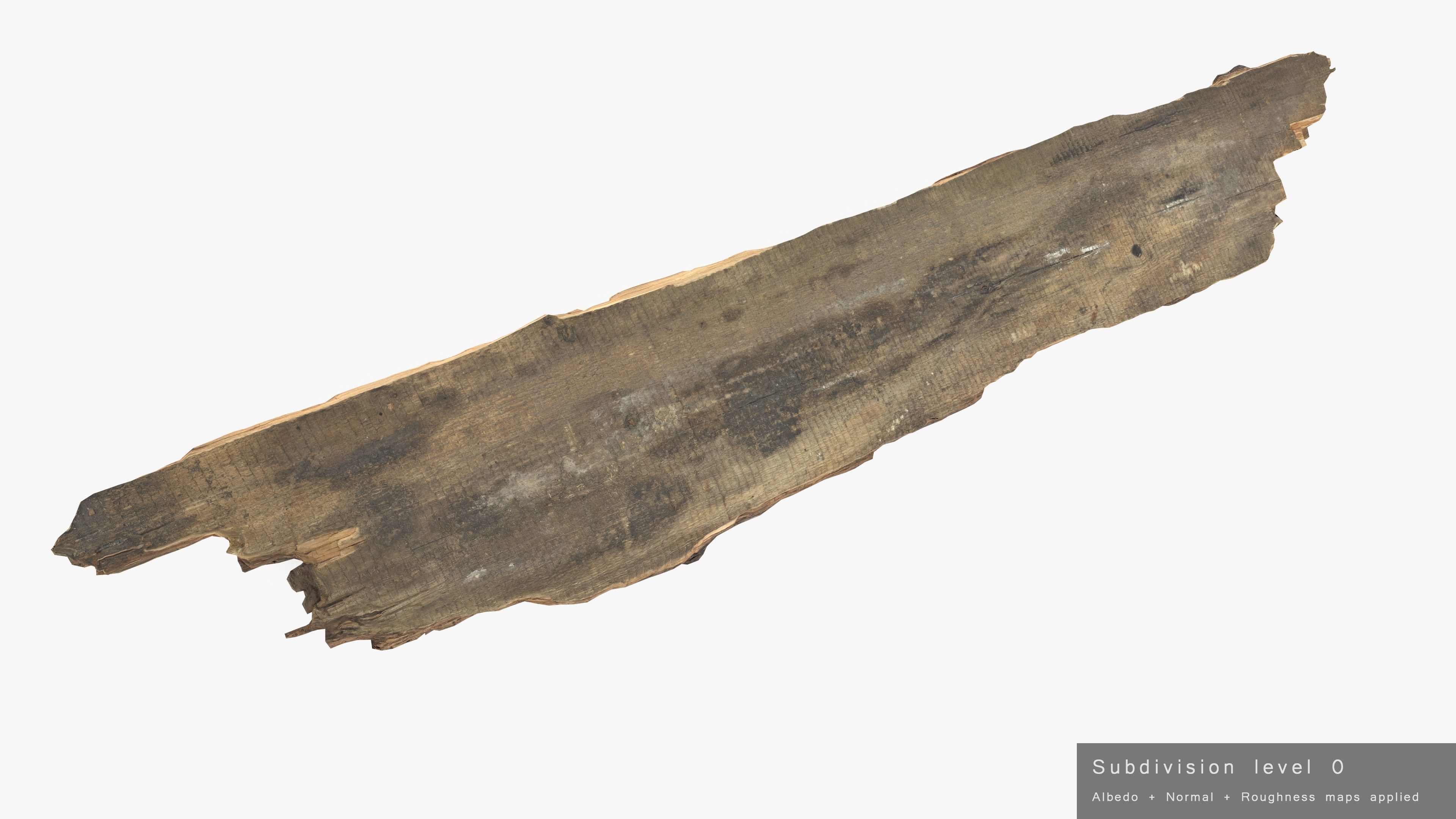 Rotten Plank Mossy Low-poly 3D model_22