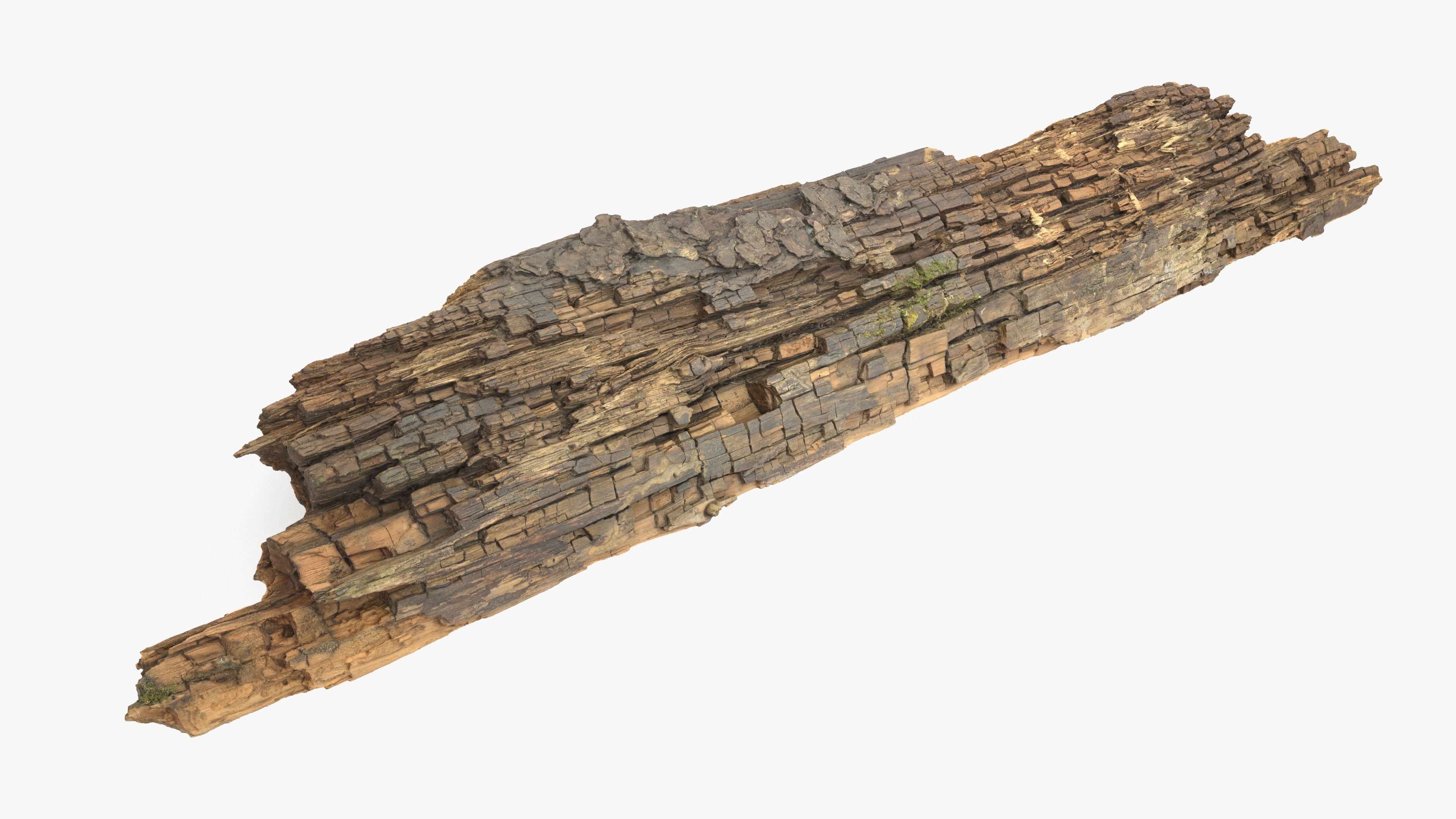 Rotten Plank Mossy Low-poly 3D model_1