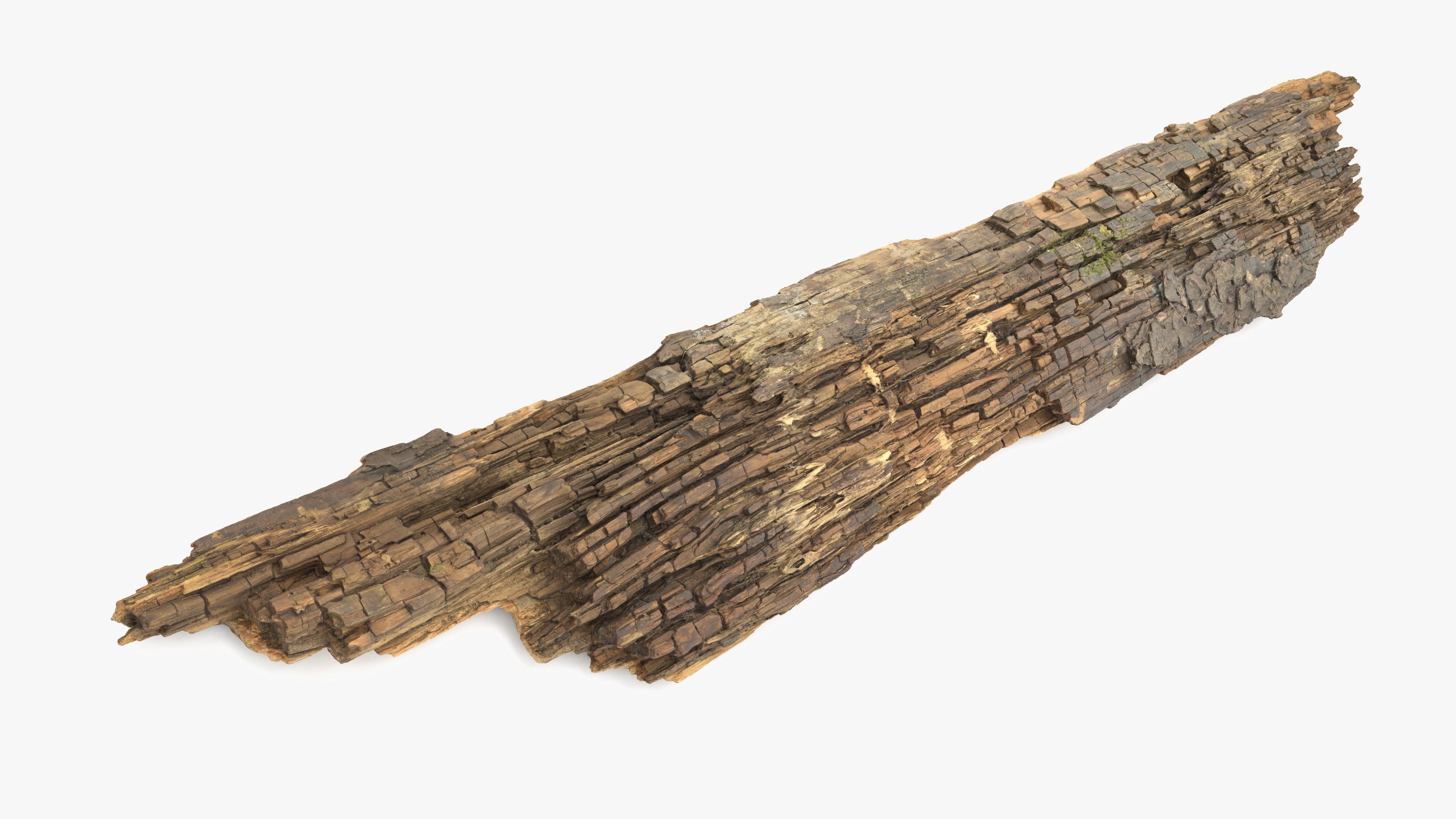 Rotten Plank Mossy Low-poly 3D model_5