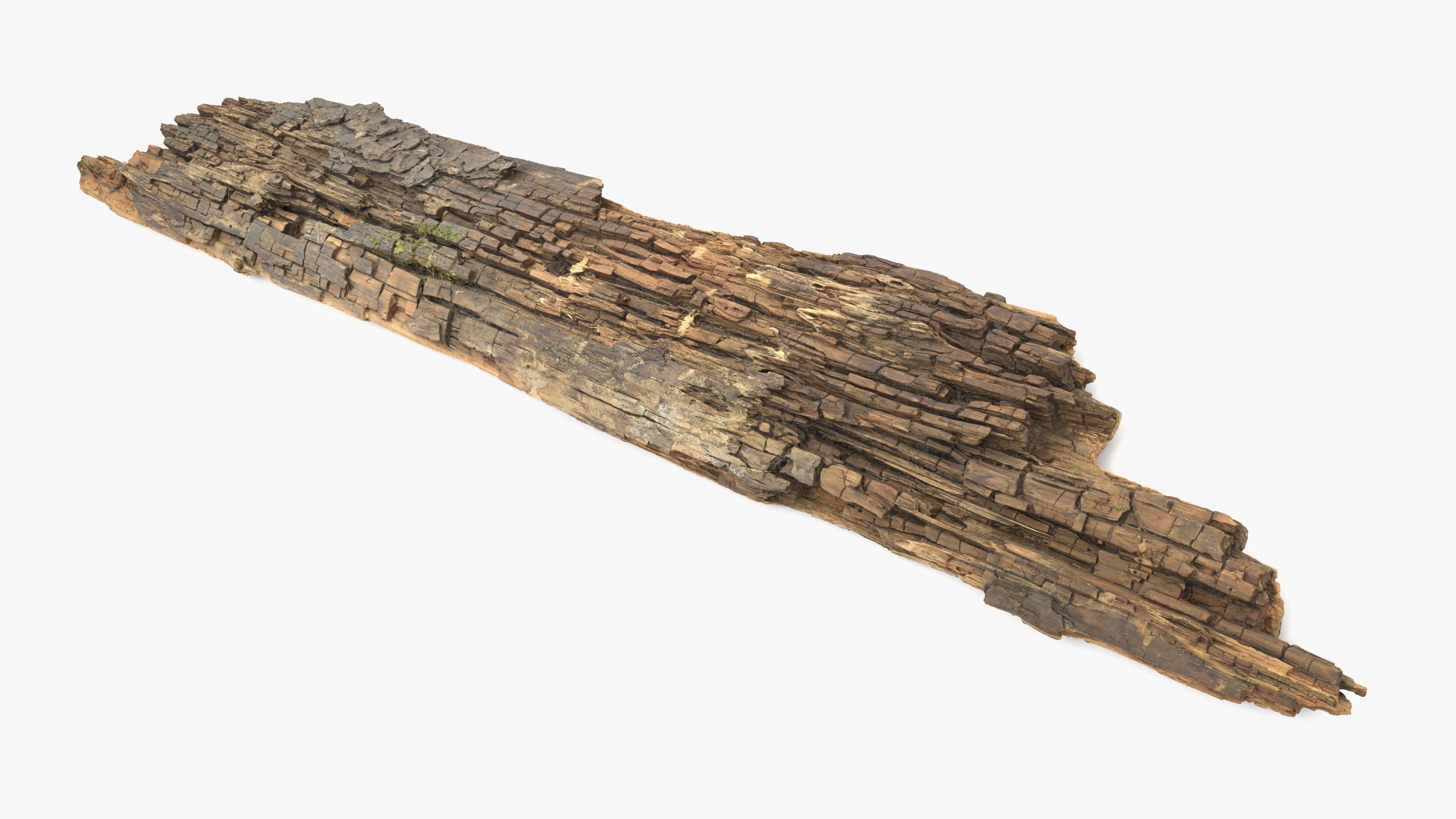 Rotten Plank Mossy Low-poly 3D model_6