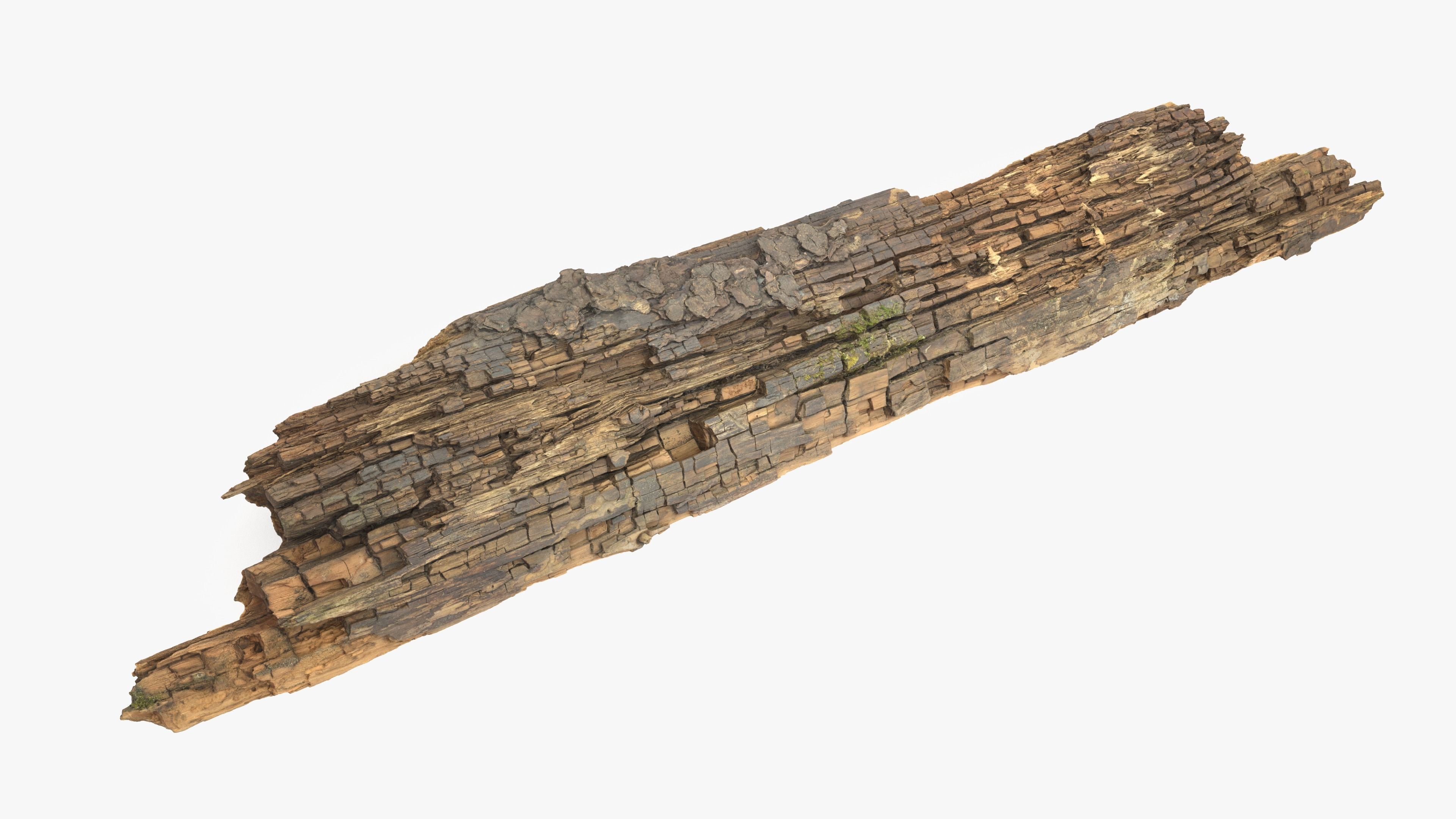 Rotten Plank Mossy Low-poly 3D model_11