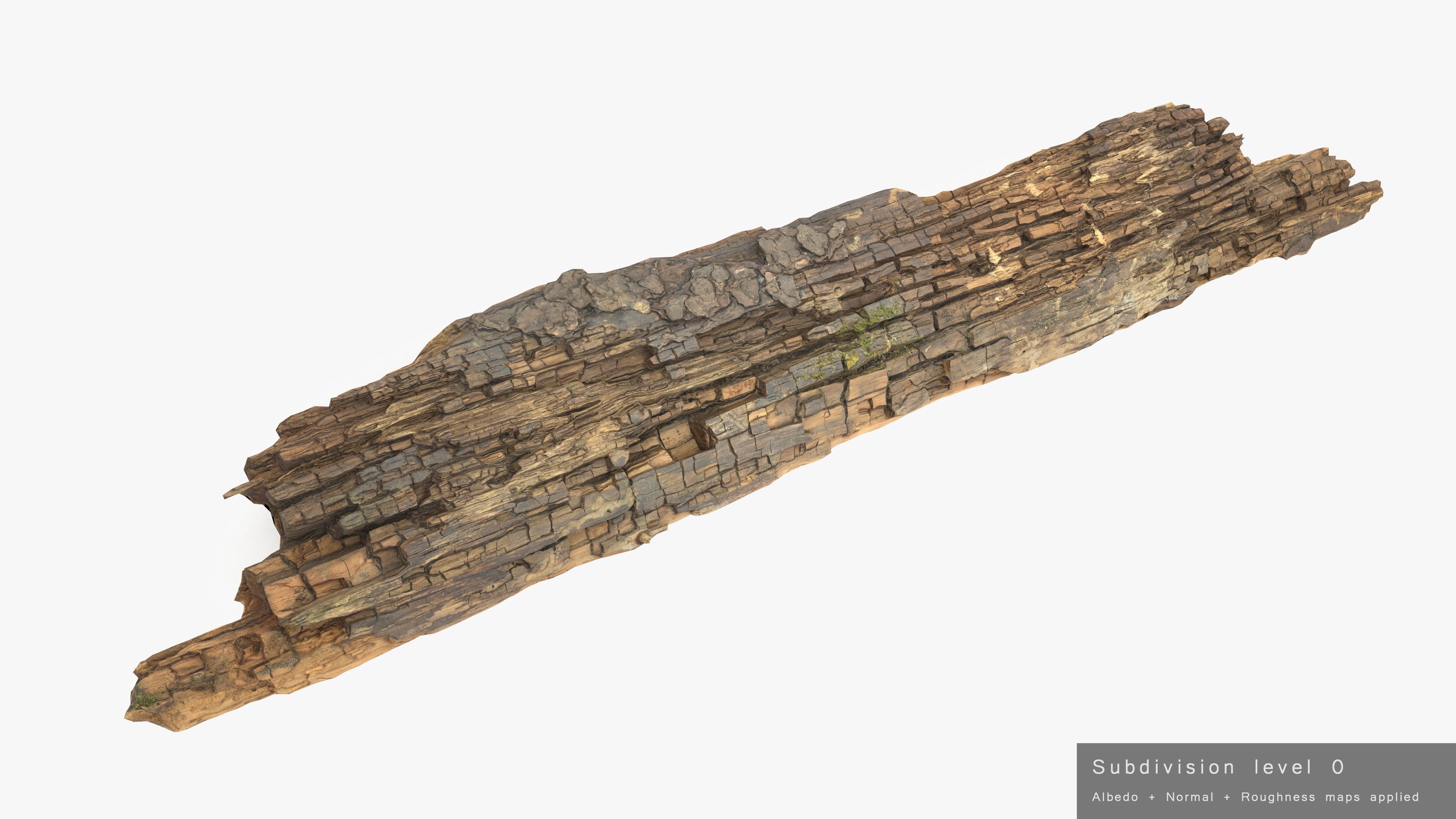 Rotten Plank Mossy Low-poly 3D model_19