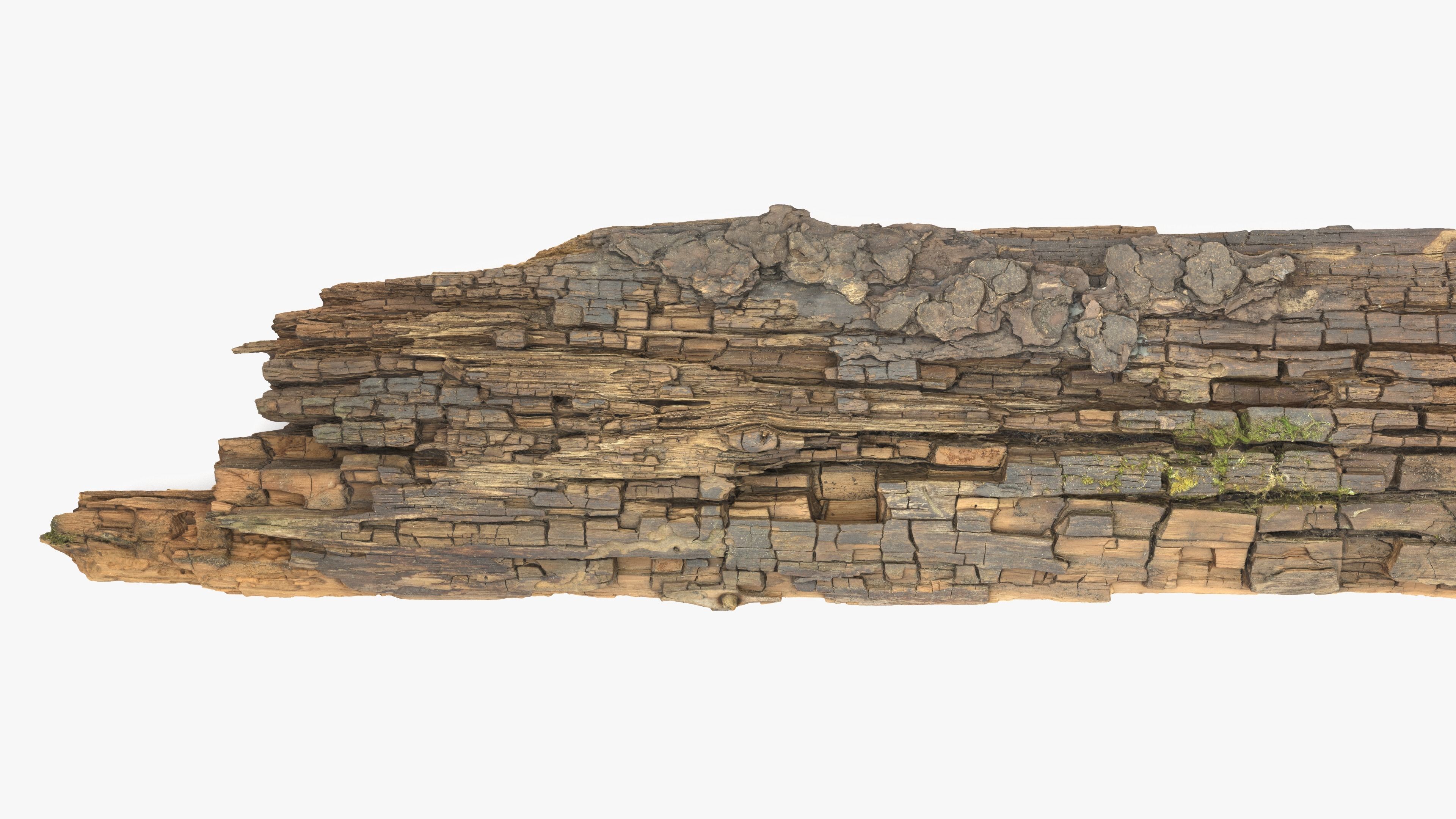 Rotten Plank Mossy Low-poly 3D model_7