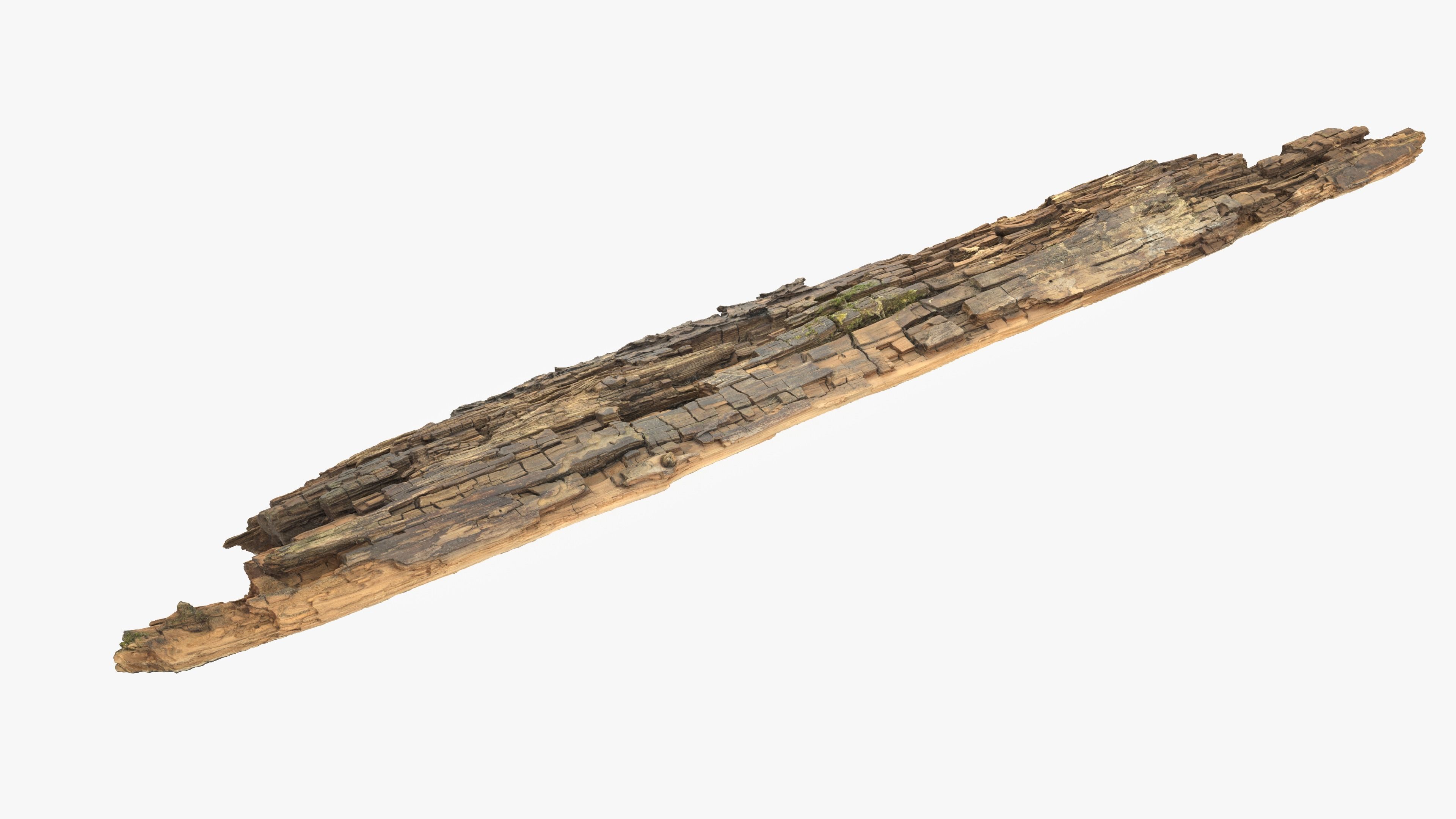 Rotten Plank Mossy Low-poly 3D model_16
