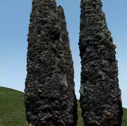 Tree cypress for distance view adapted for games 