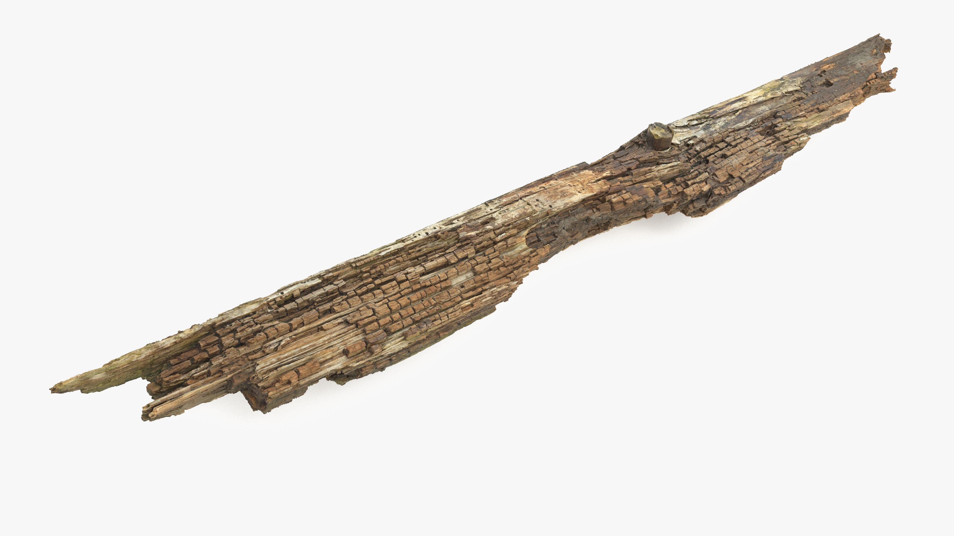 Rotten Plank Pale Low-poly 3D model_15