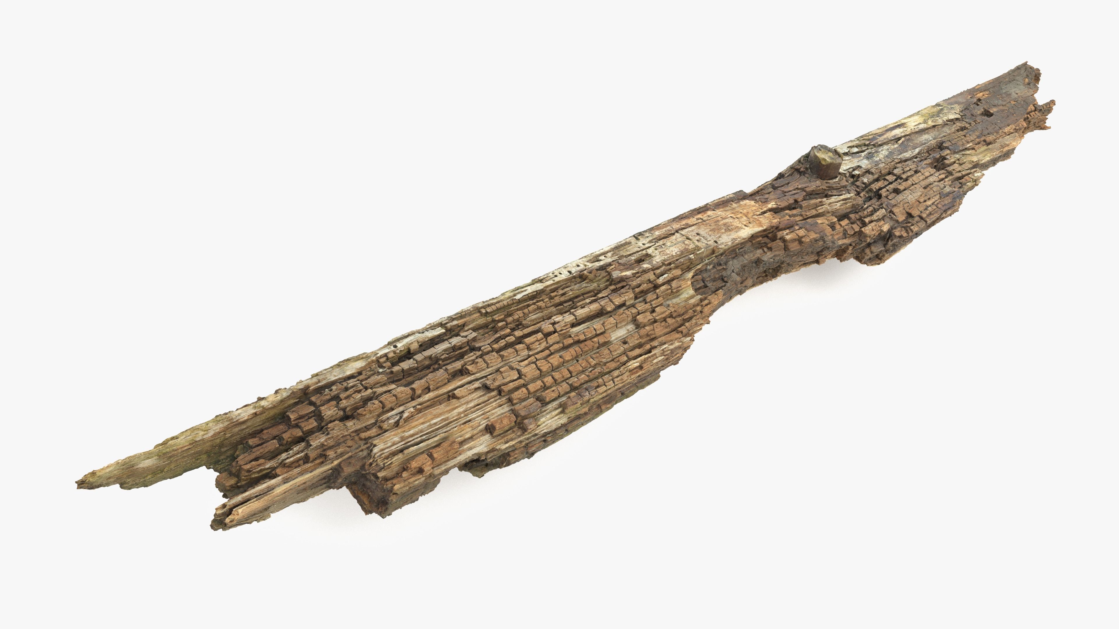 Rotten Plank Pale Low-poly 3D model_1