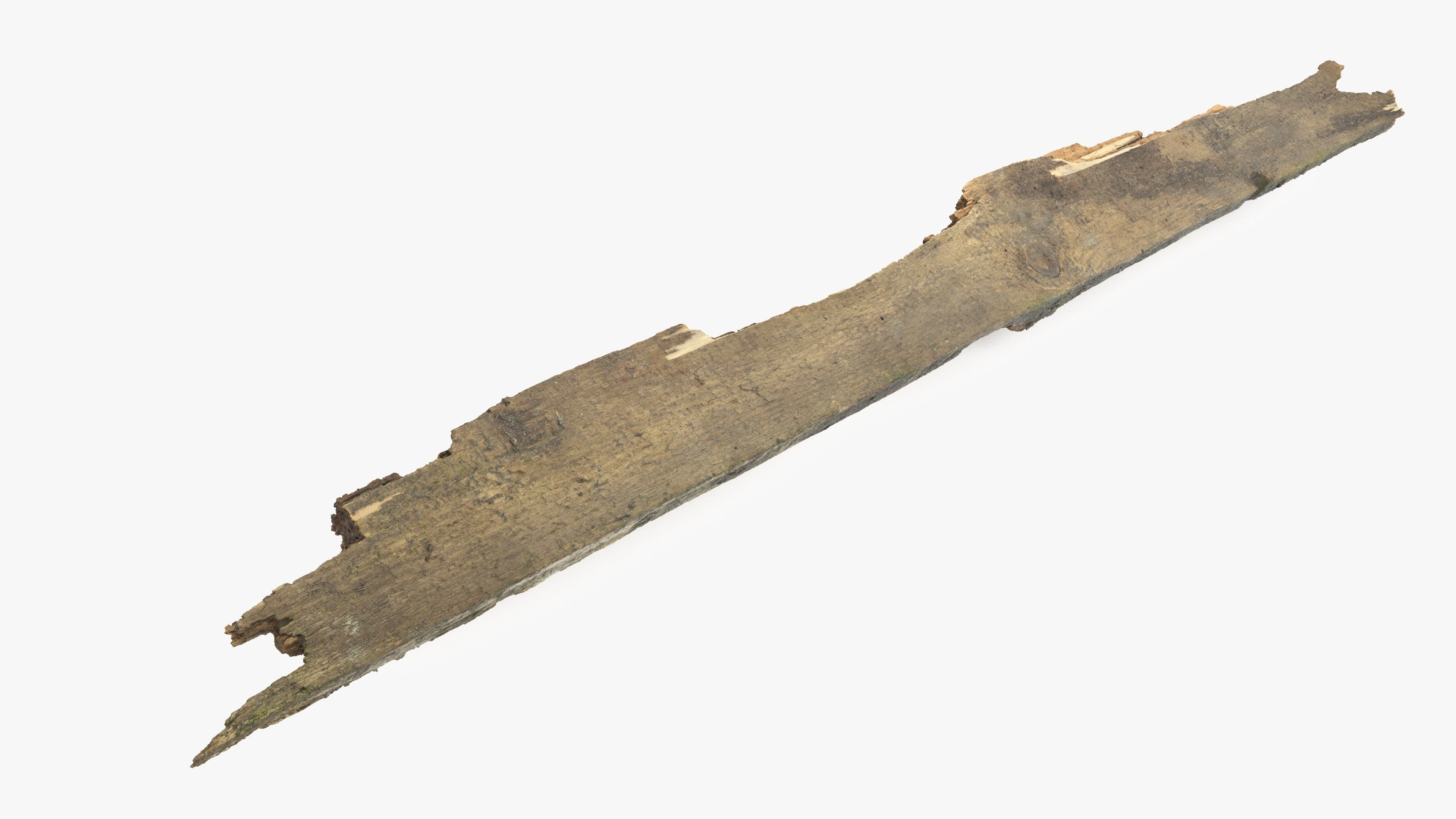 Rotten Plank Pale Low-poly 3D model_18