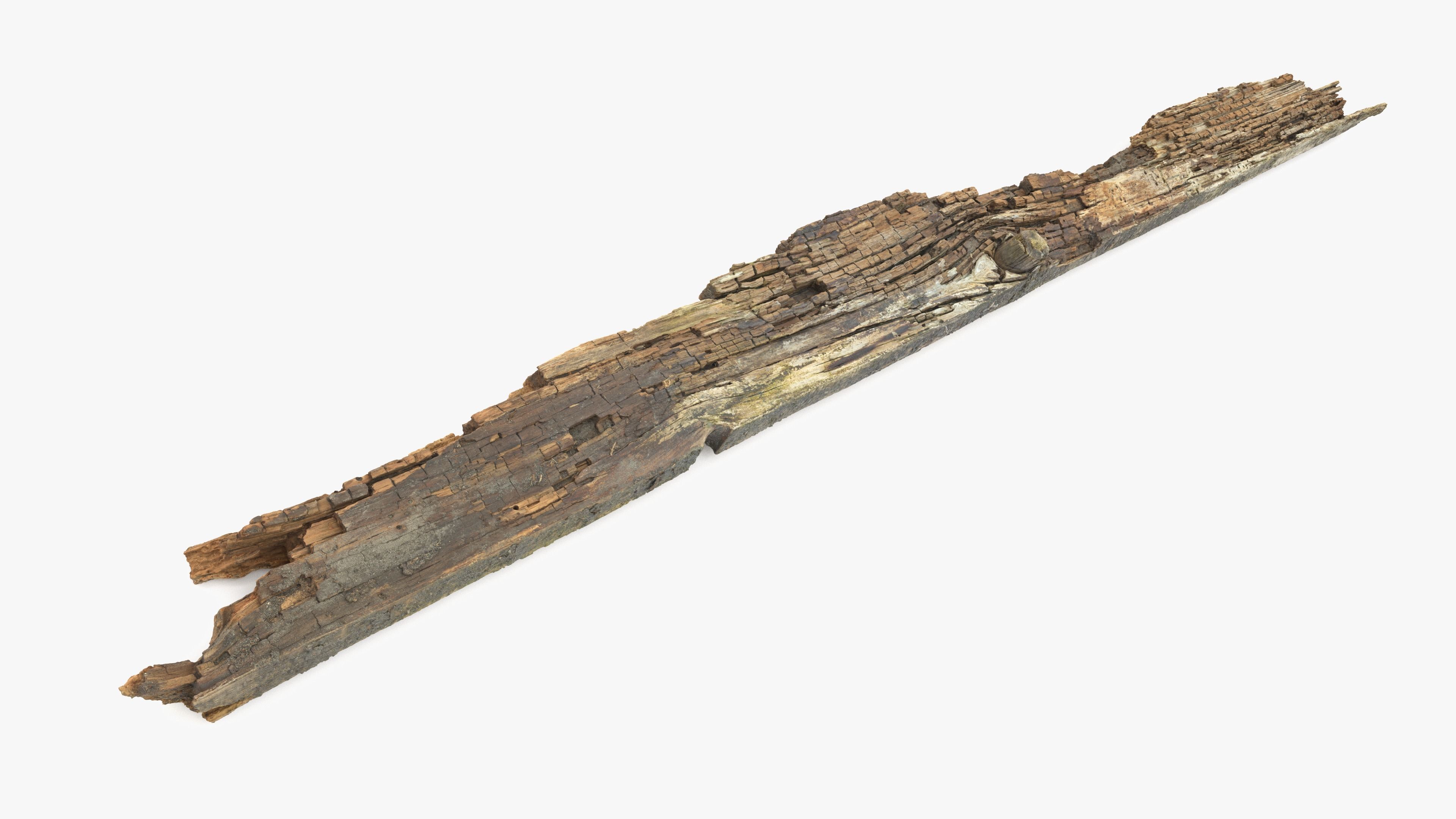 Rotten Plank Pale Low-poly 3D model_5