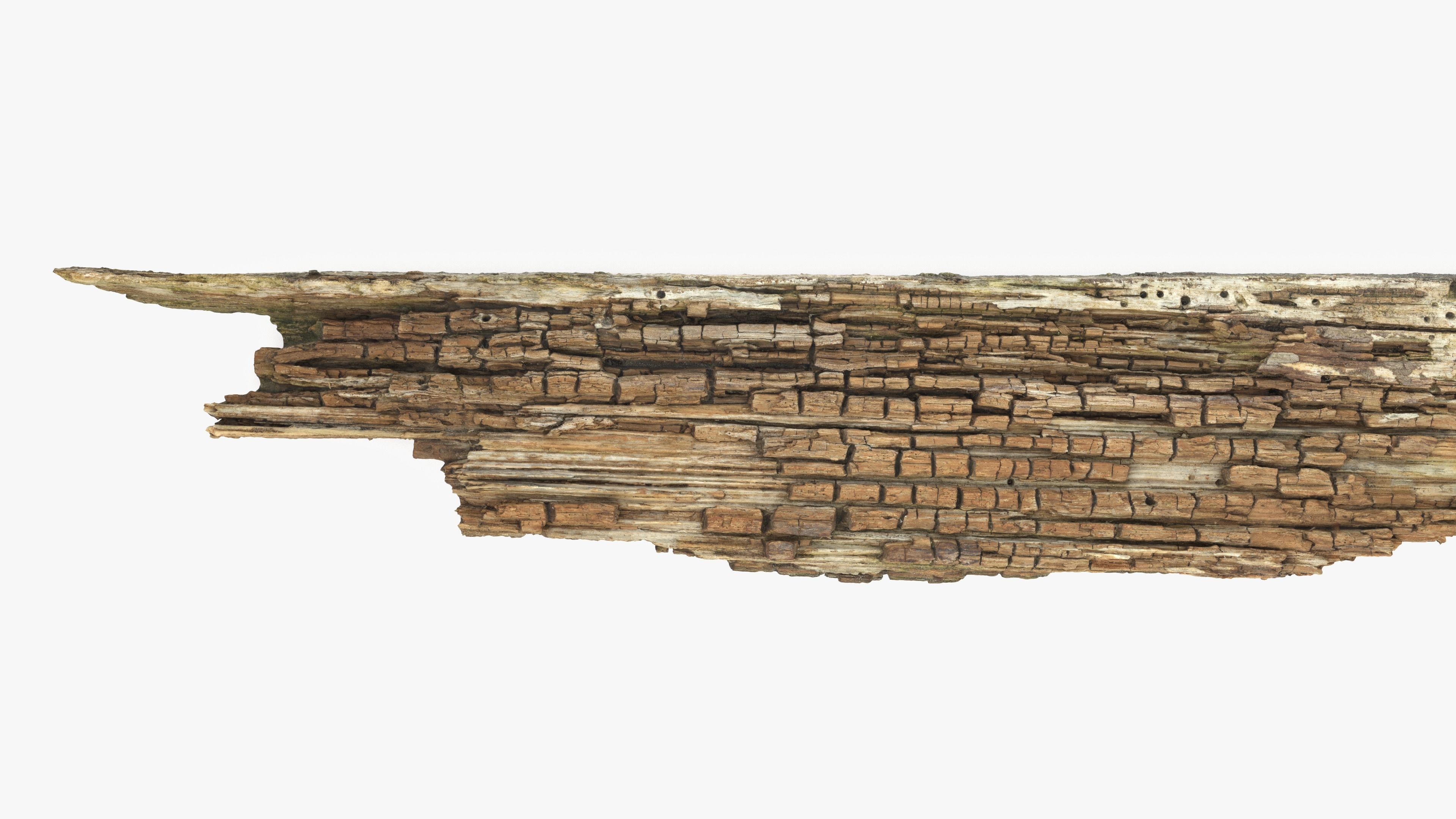 Rotten Plank Pale Low-poly 3D model_8