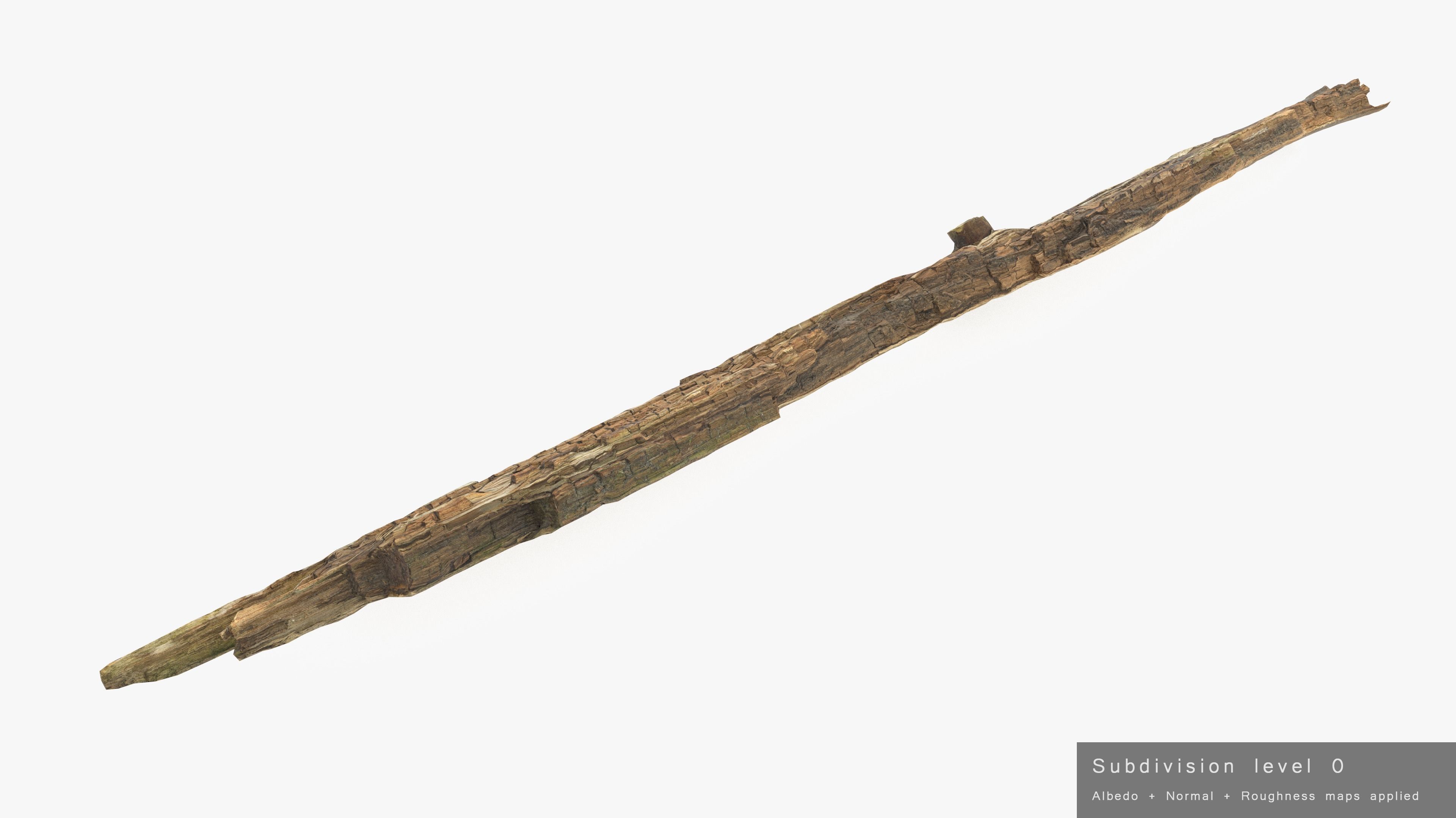 Rotten Plank Pale Low-poly 3D model_27