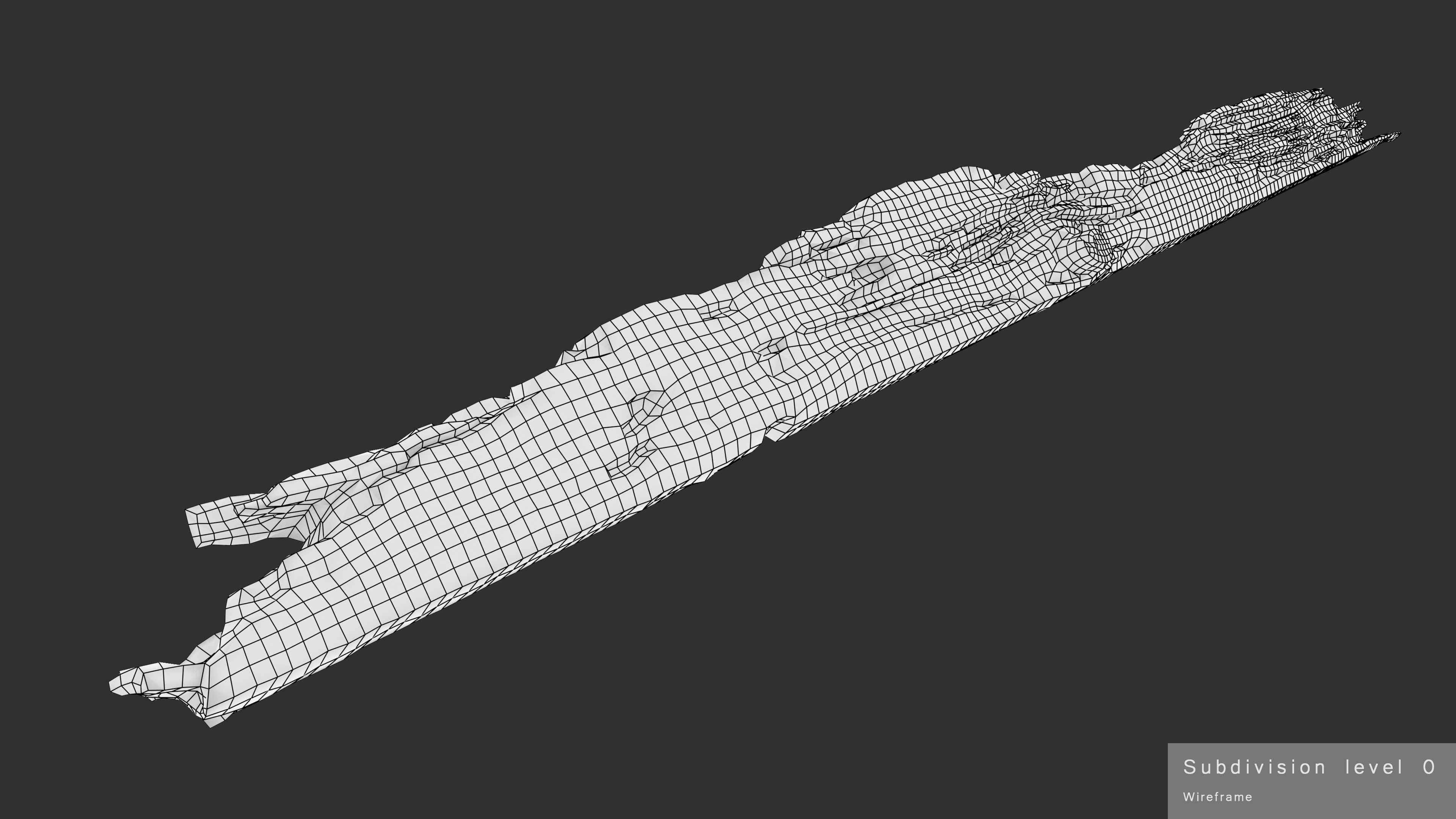 Rotten Plank Pale Low-poly 3D model_32