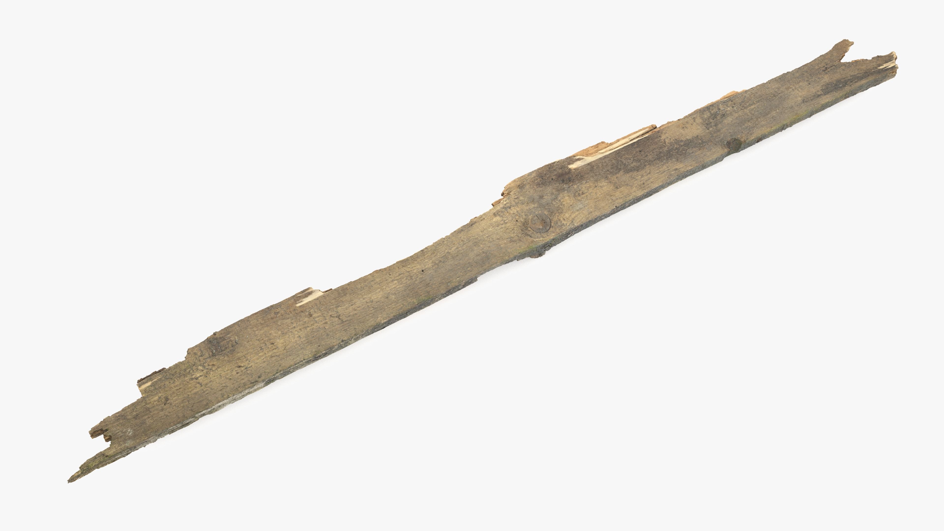 Rotten Plank Pale Low-poly 3D model_13