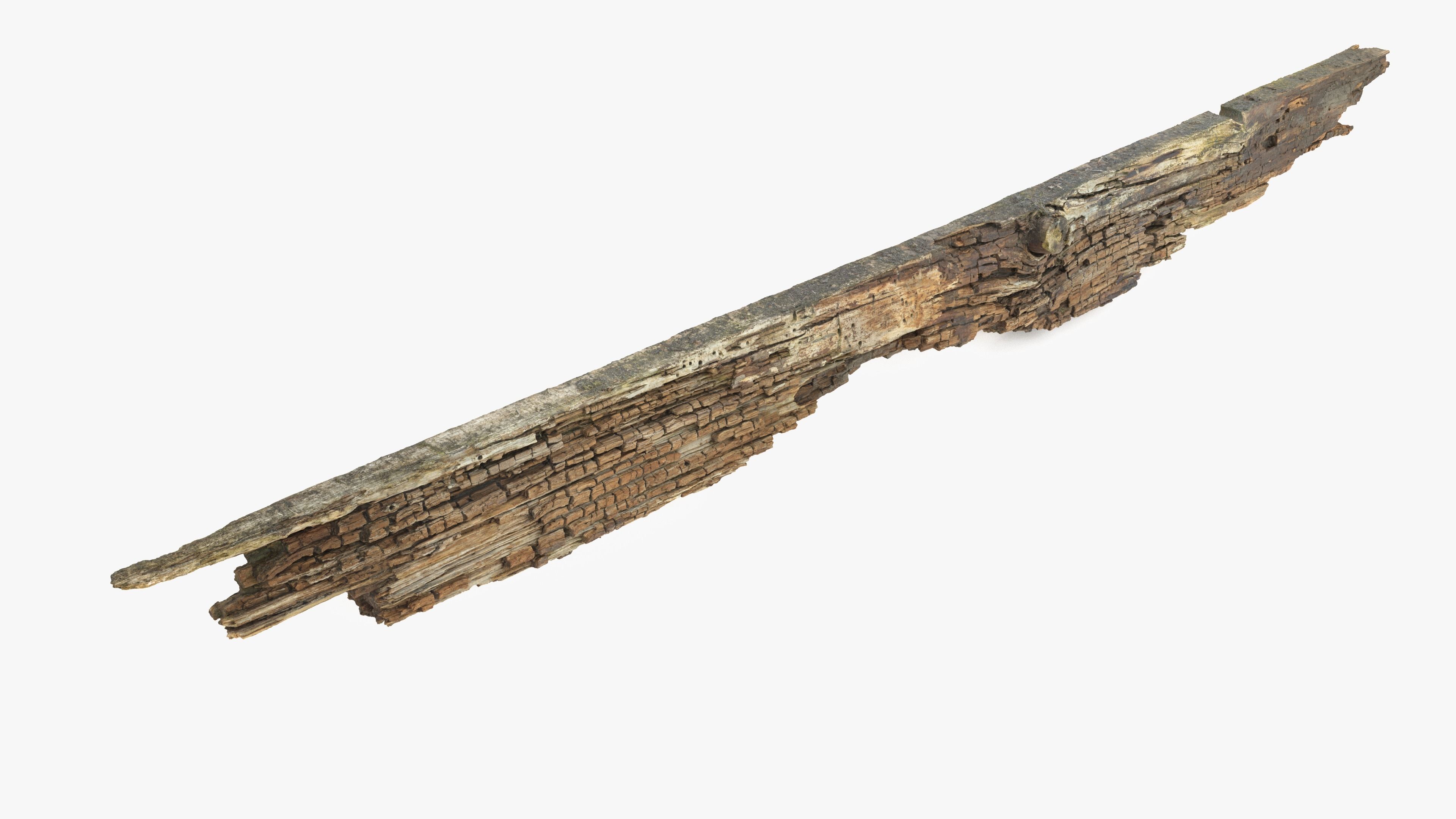 Rotten Plank Pale Low-poly 3D model_16