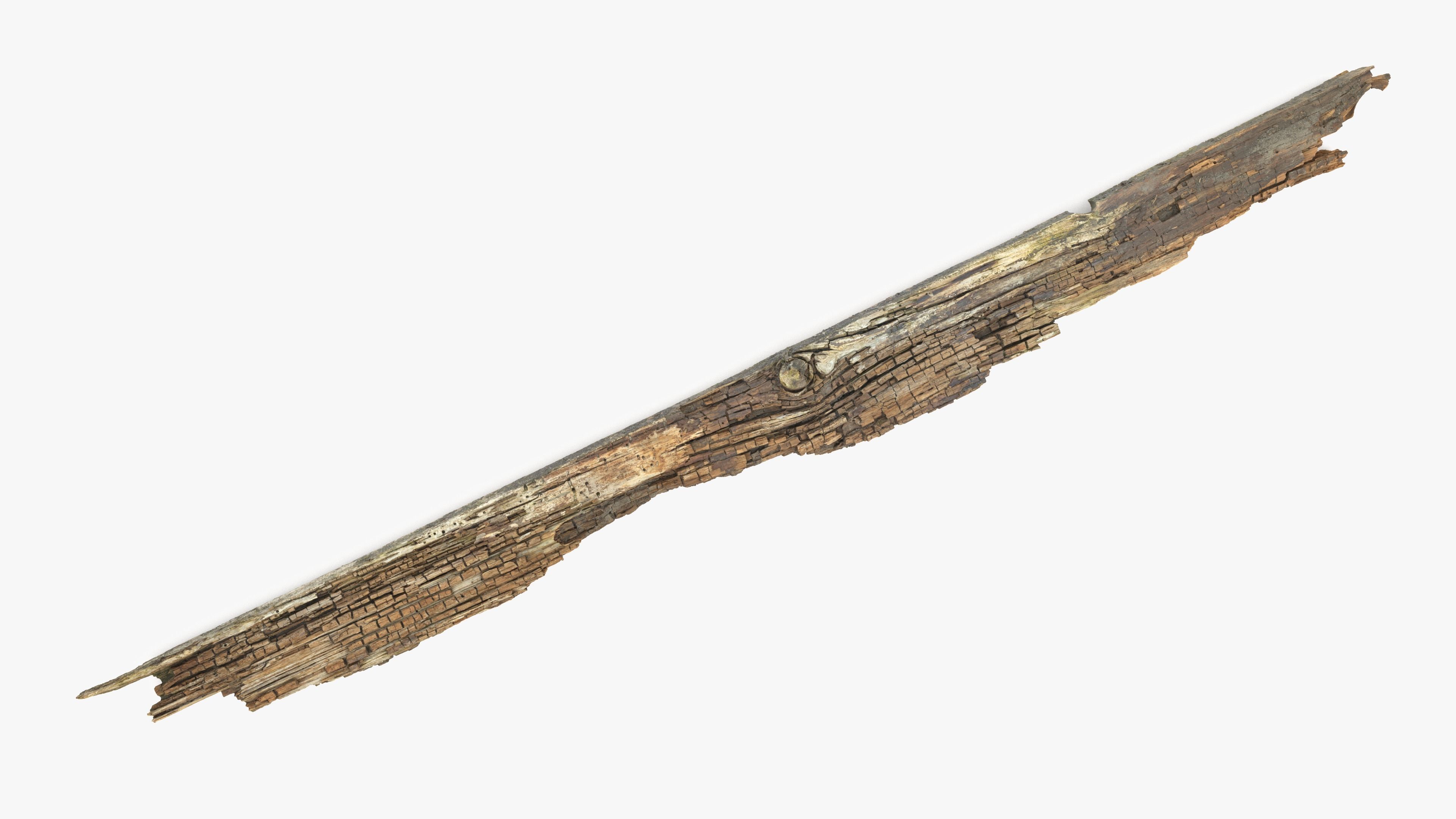 Rotten Plank Pale Low-poly 3D model_3