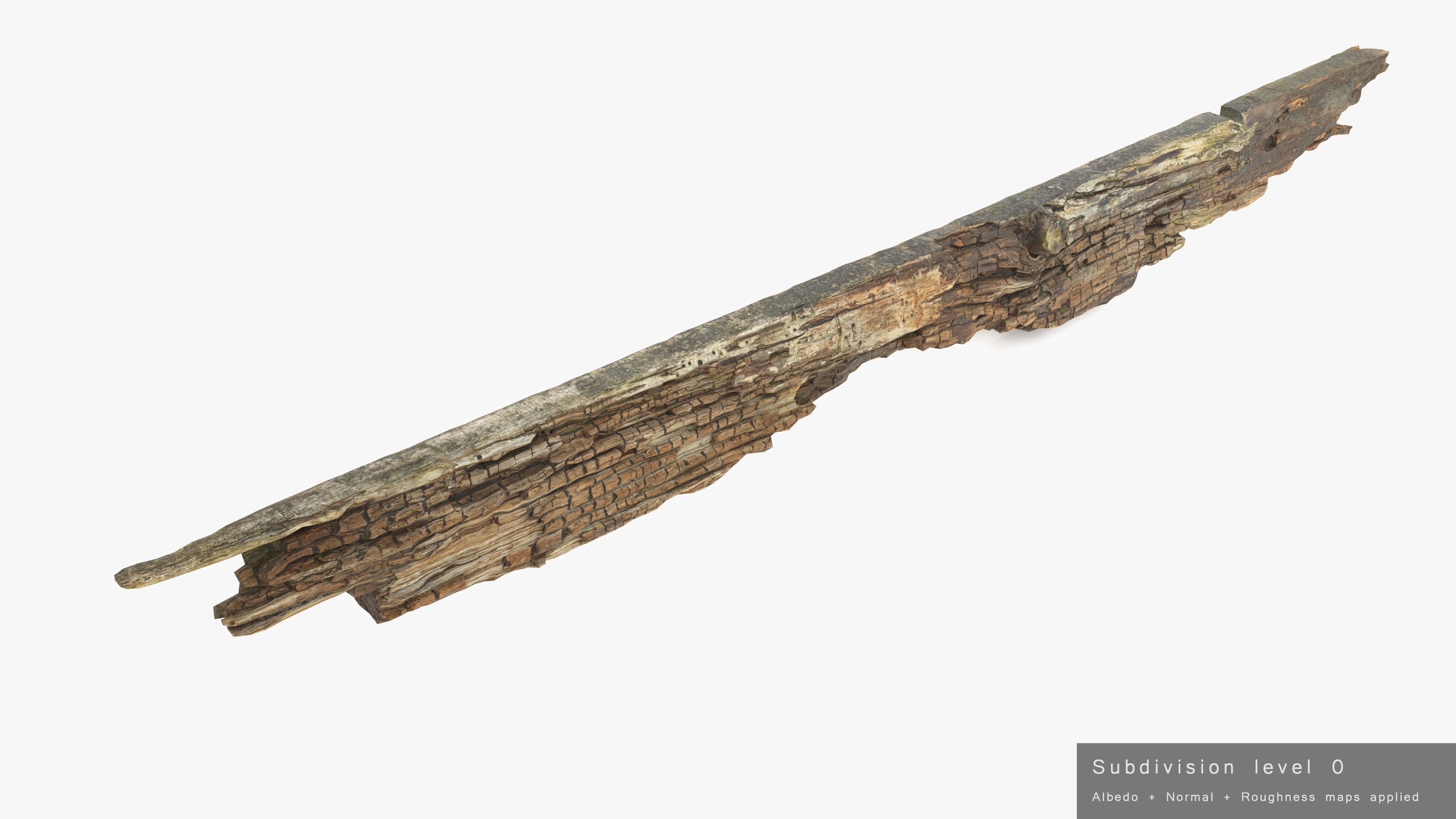 Rotten Plank Pale Low-poly 3D model_23