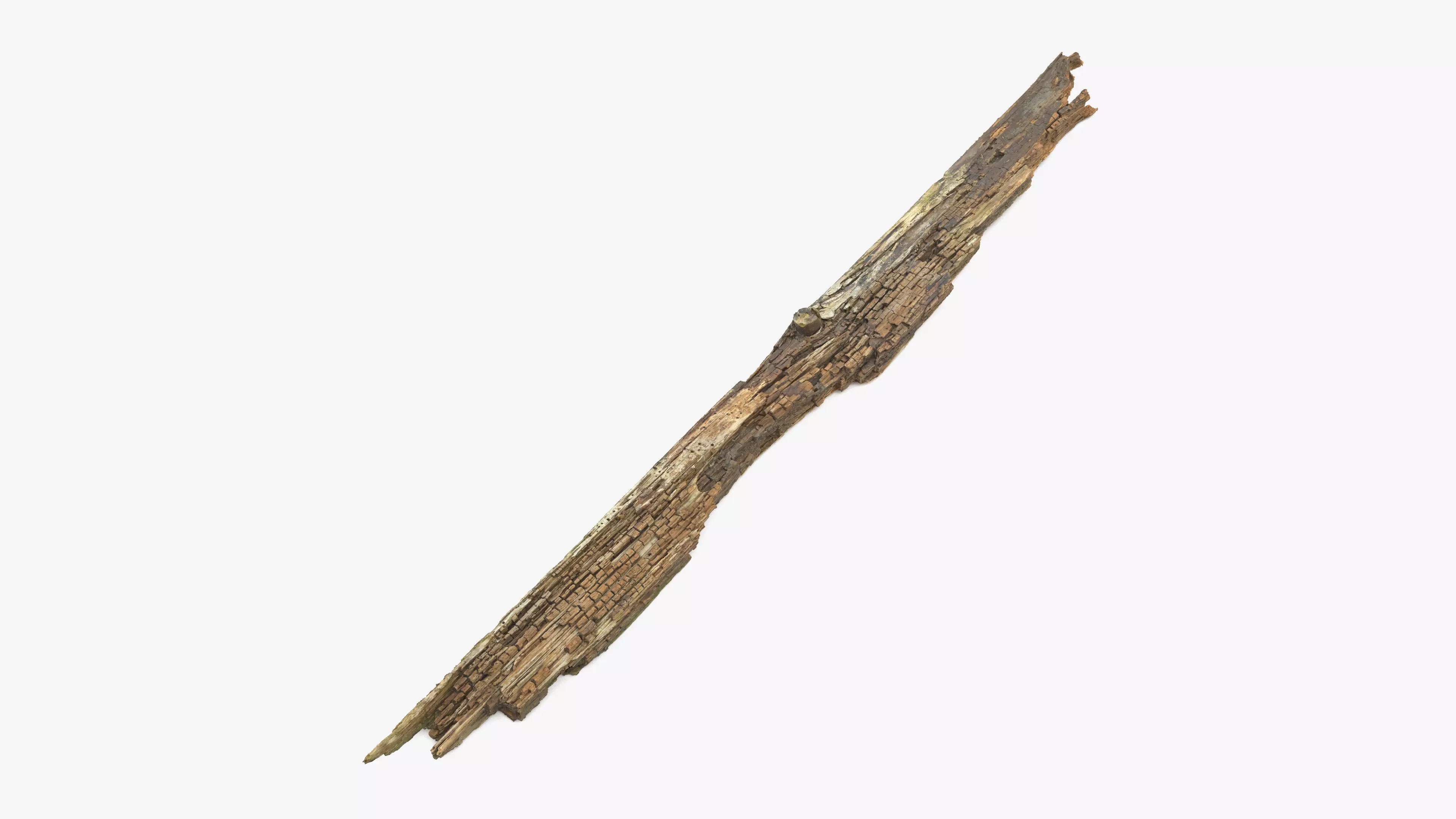 Rotten Plank Pale Low-poly 3D model_0