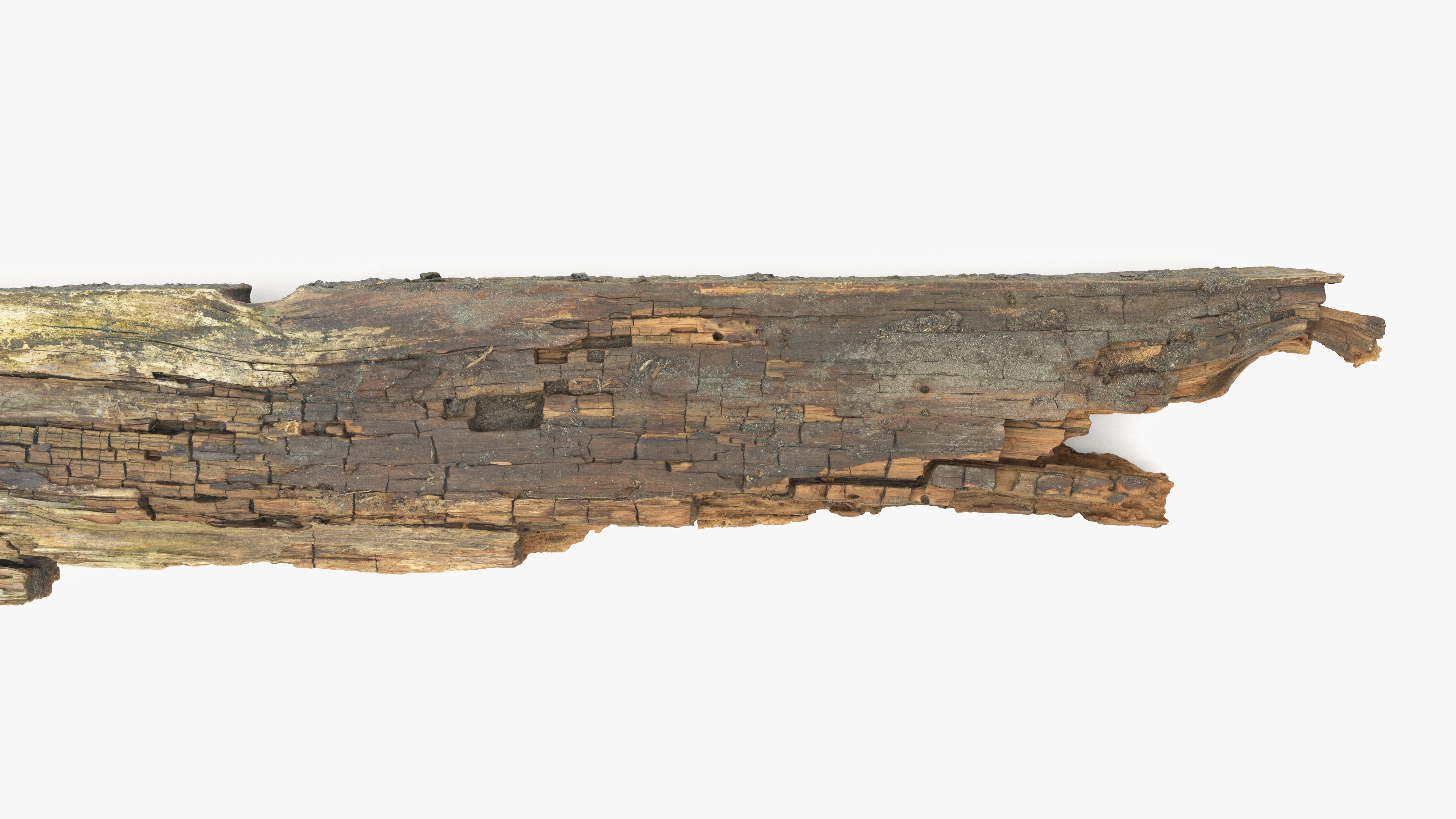 Rotten Plank Pale Low-poly 3D model_12