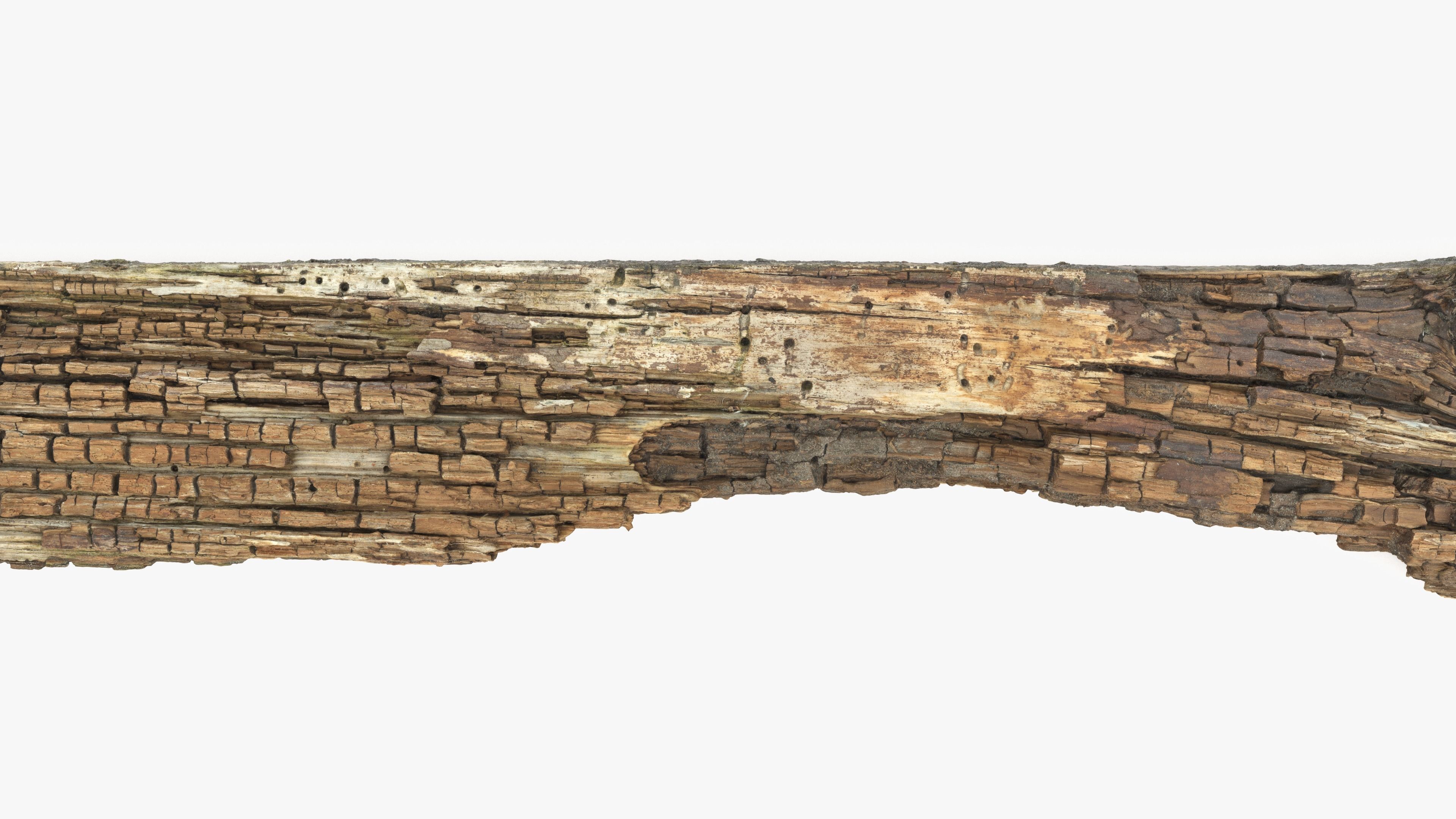 Rotten Plank Pale Low-poly 3D model_9