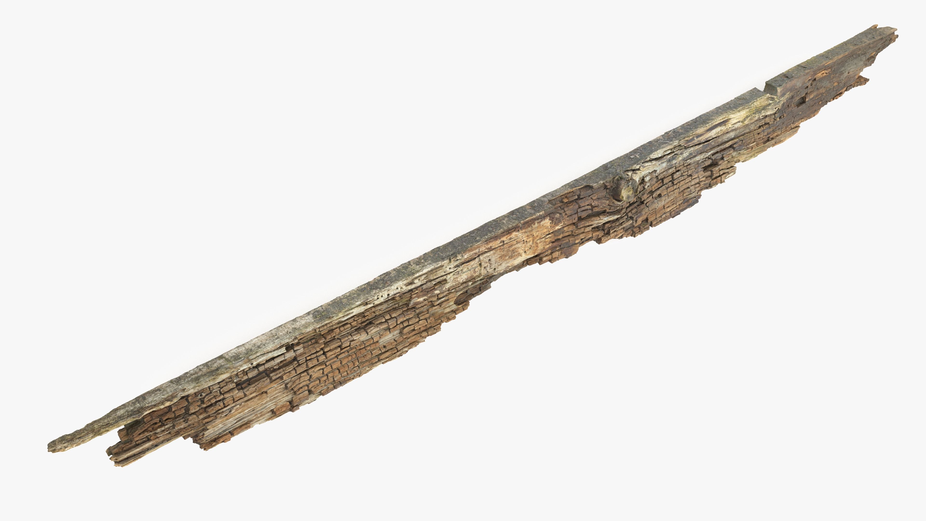Rotten Plank Pale Low-poly 3D model_4