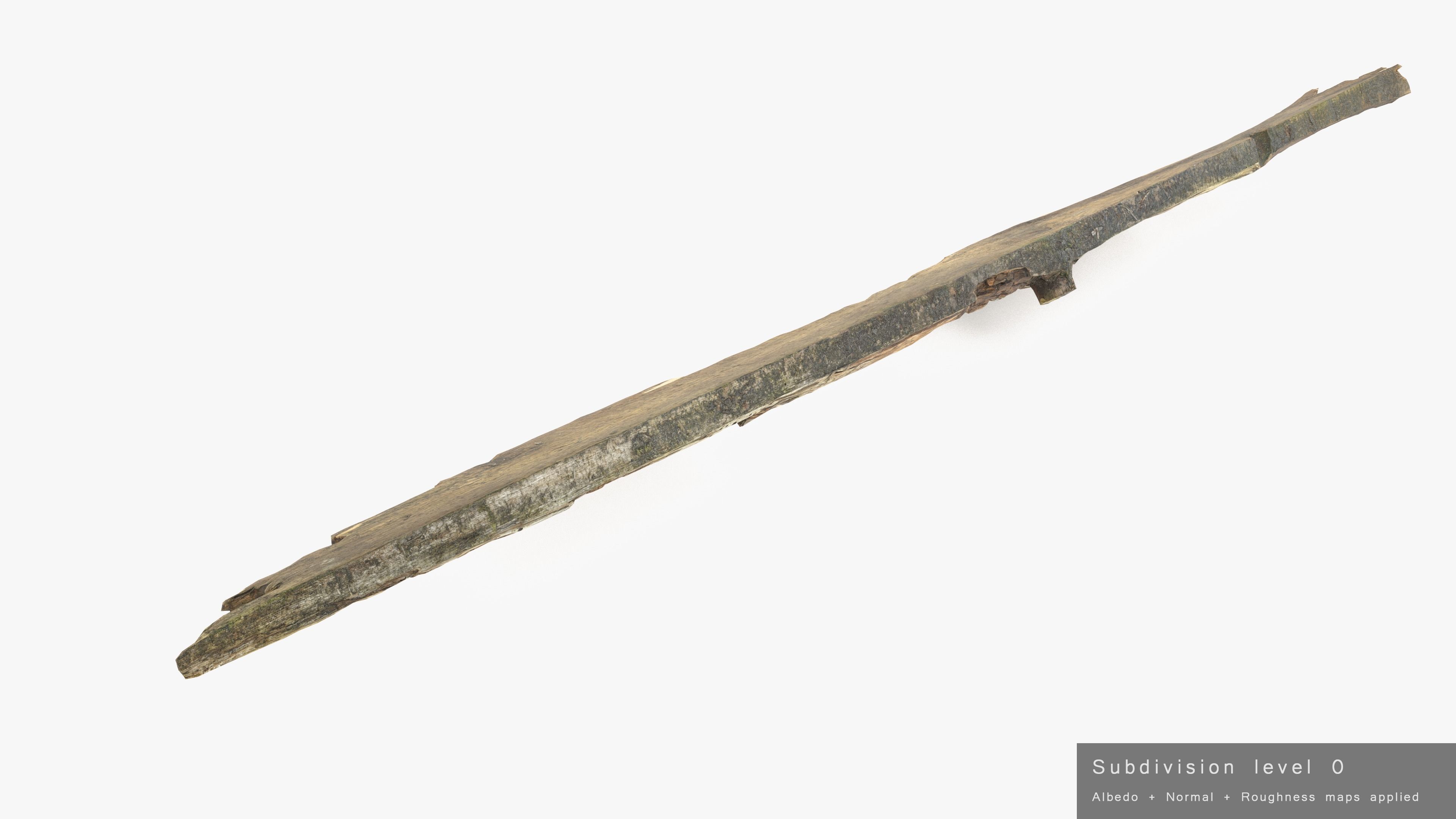 Rotten Plank Pale Low-poly 3D model_24