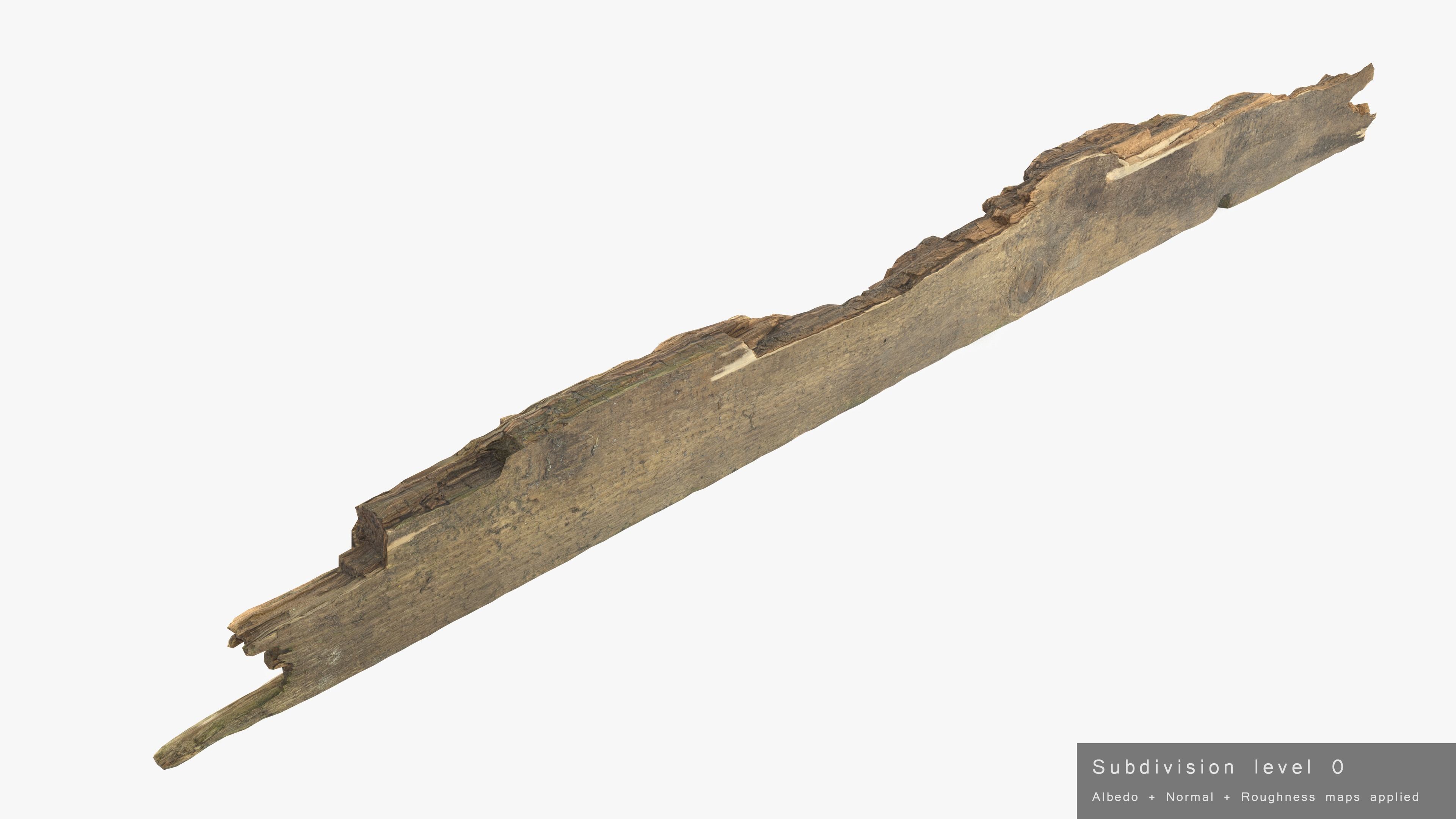 Rotten Plank Pale Low-poly 3D model_26