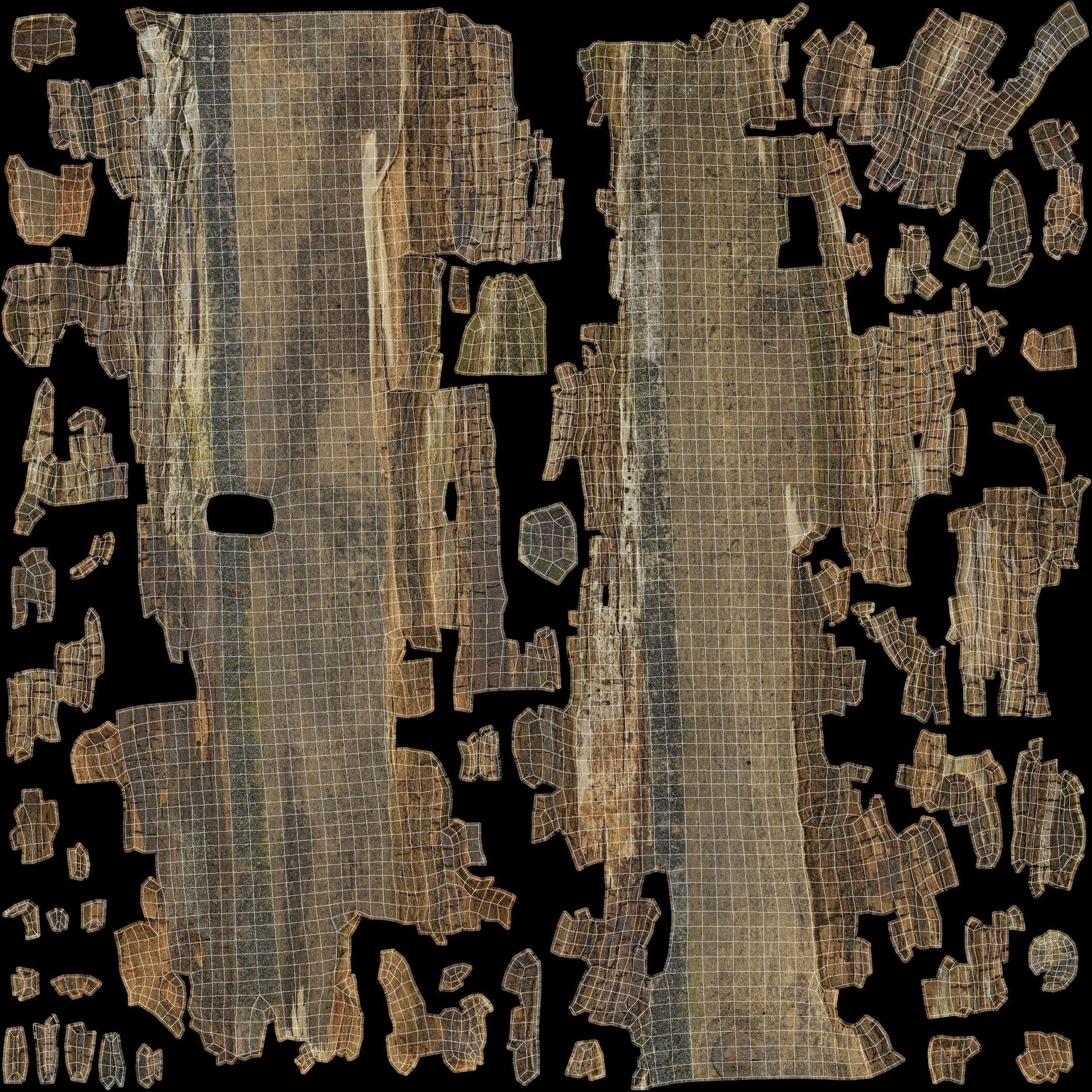 Rotten Plank Pale Low-poly 3D model_33