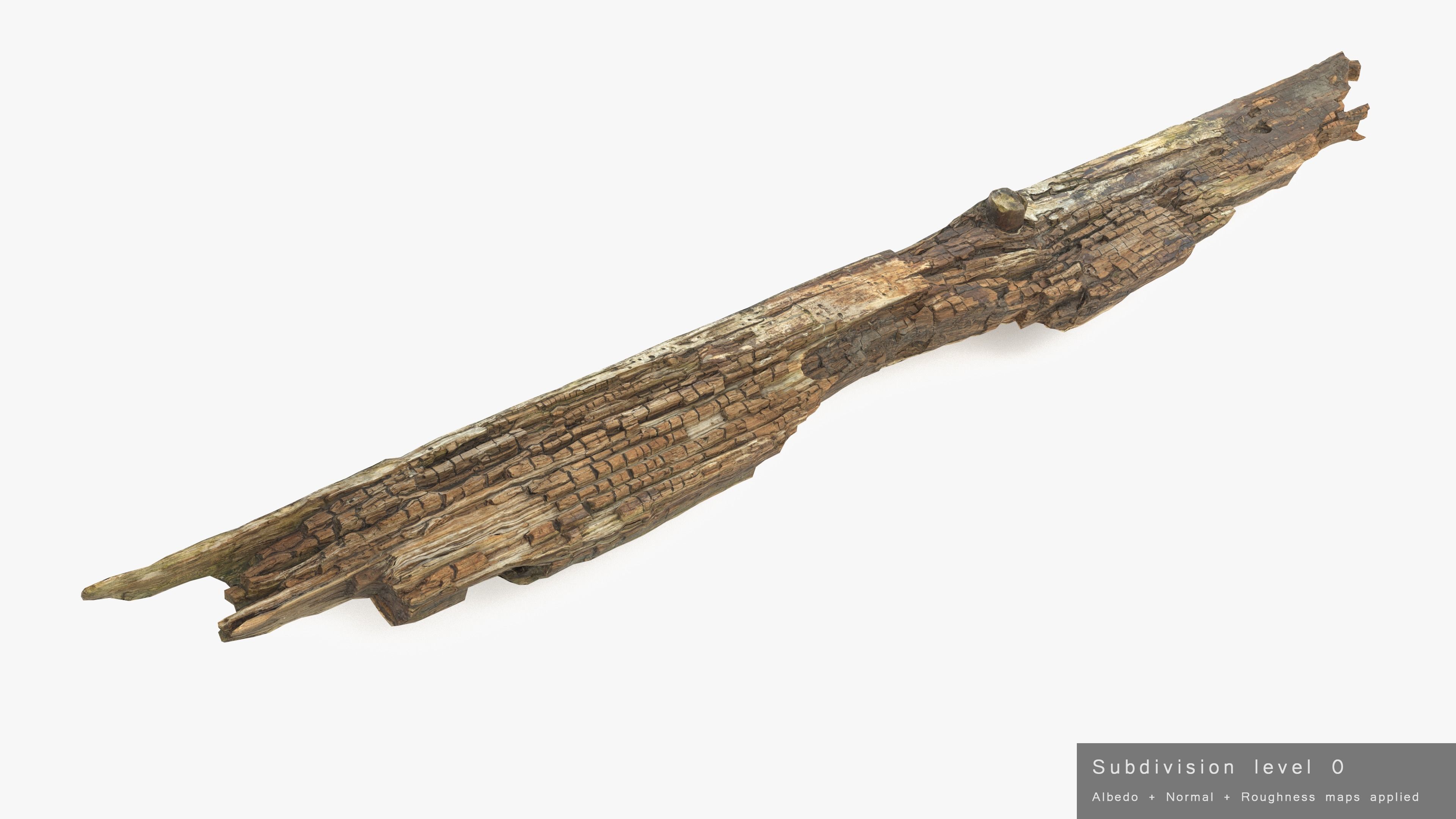 Rotten Plank Pale Low-poly 3D model_22