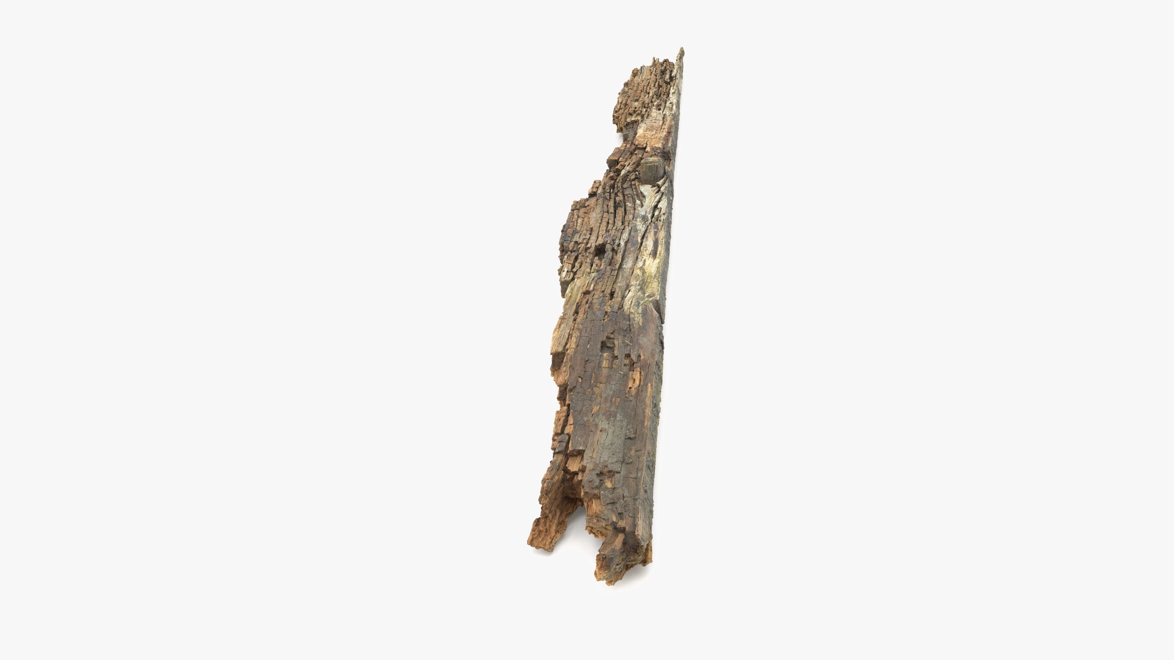 Rotten Plank Pale Low-poly 3D model_7